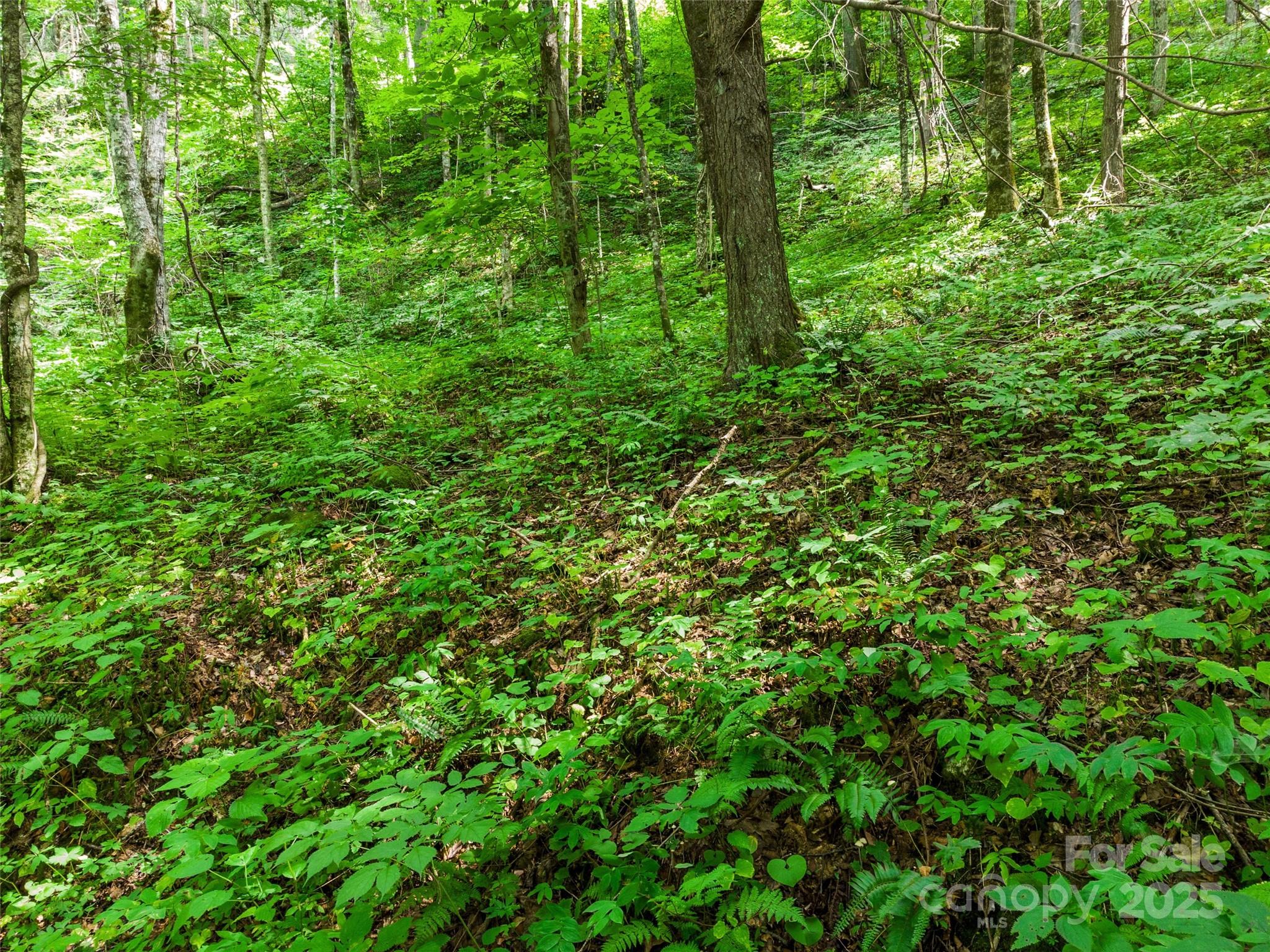 00 Old Sawmill Road Property Photo 2