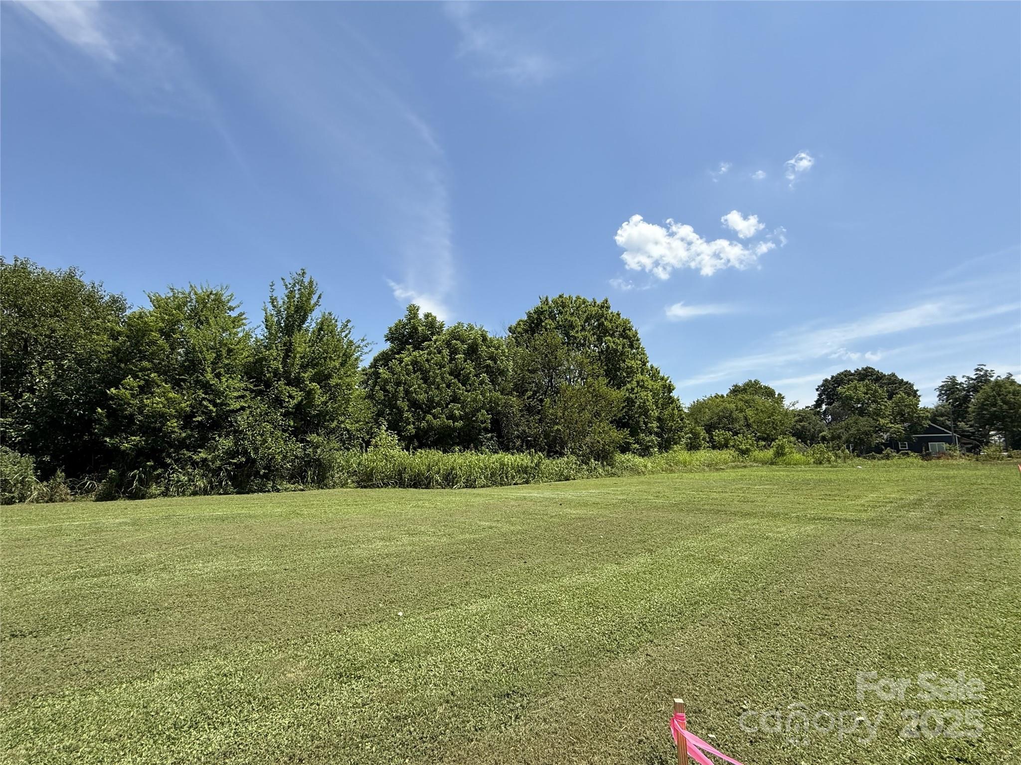 Lot 4 And 5 W Elliot Street Property Photo 2