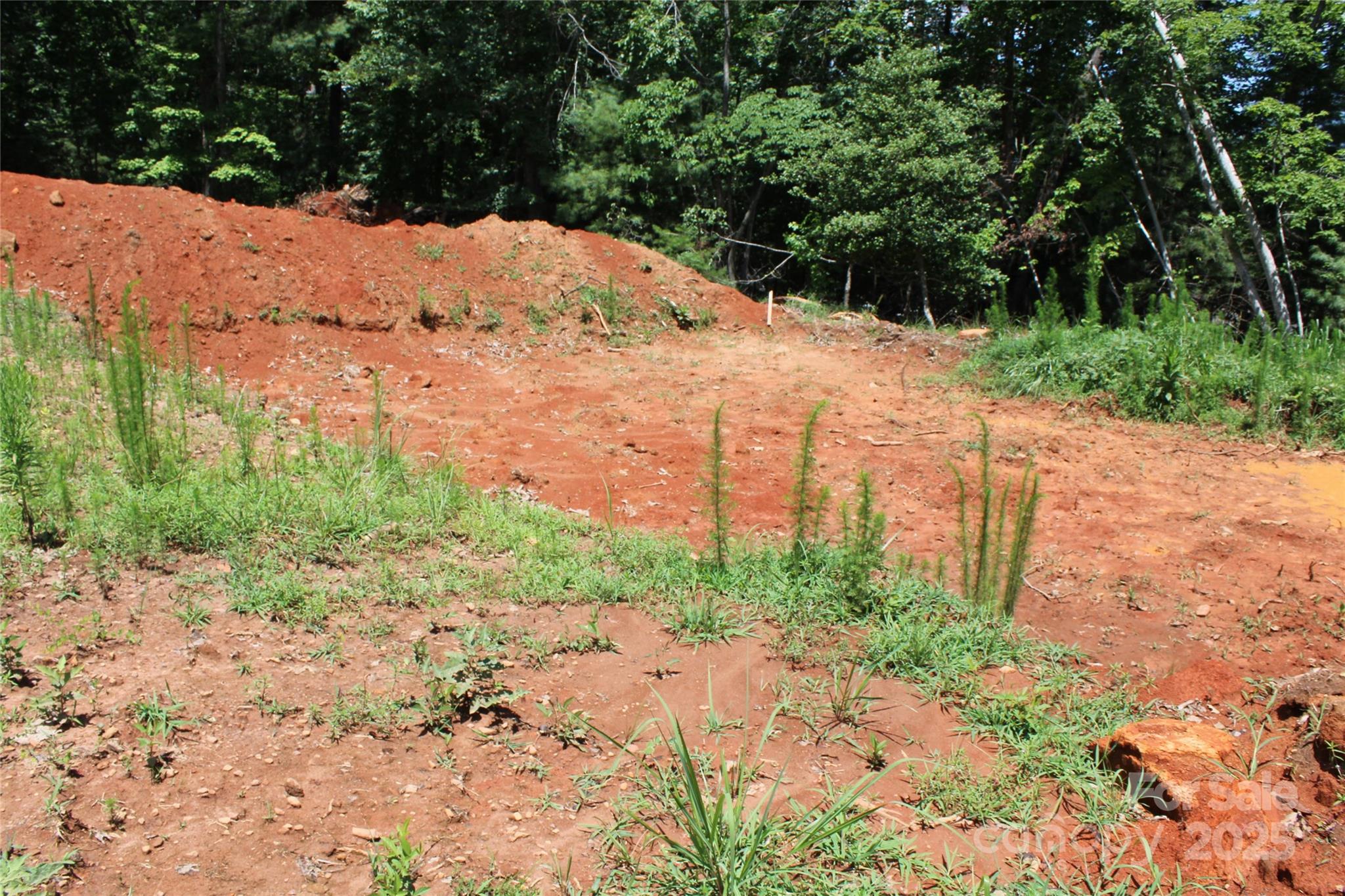 2080 John Byrd Road Property Photo 10