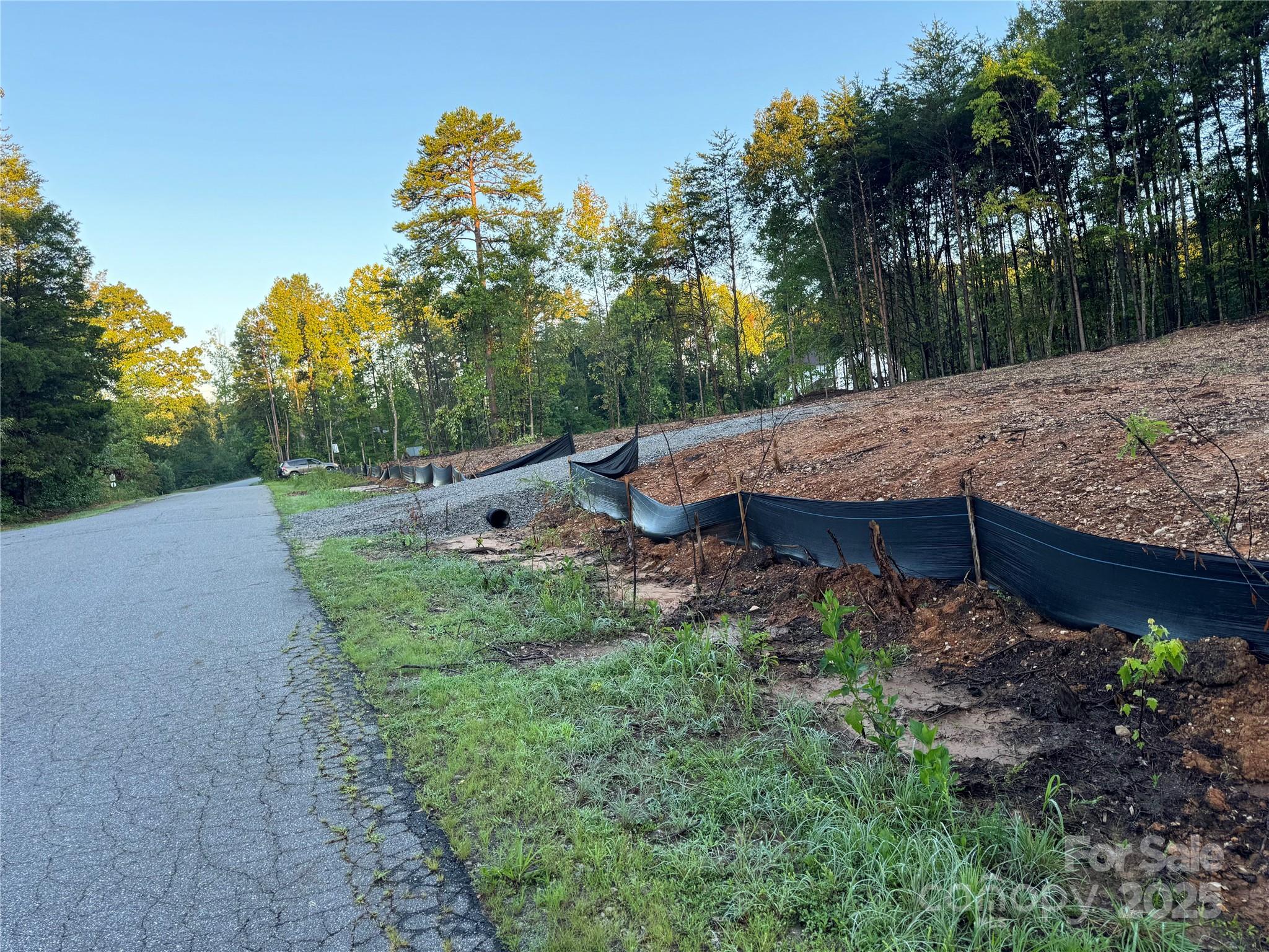 1524 Conestoga Crossing Property Photo 3