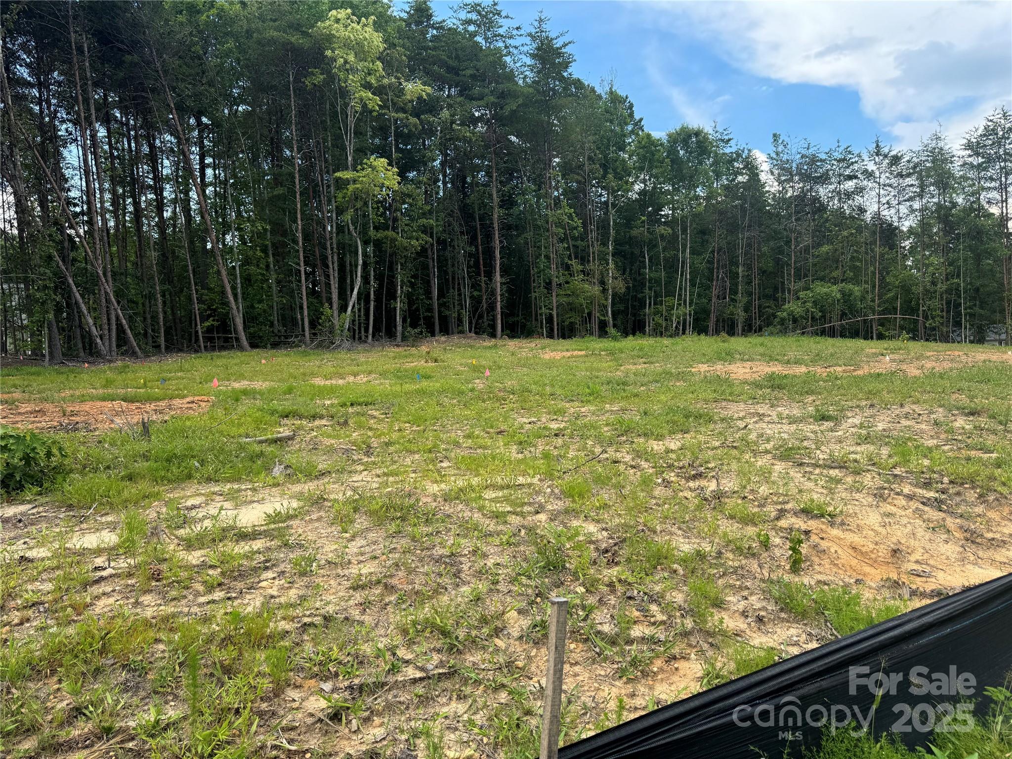 1524 Conestoga Crossing Property Photo 4