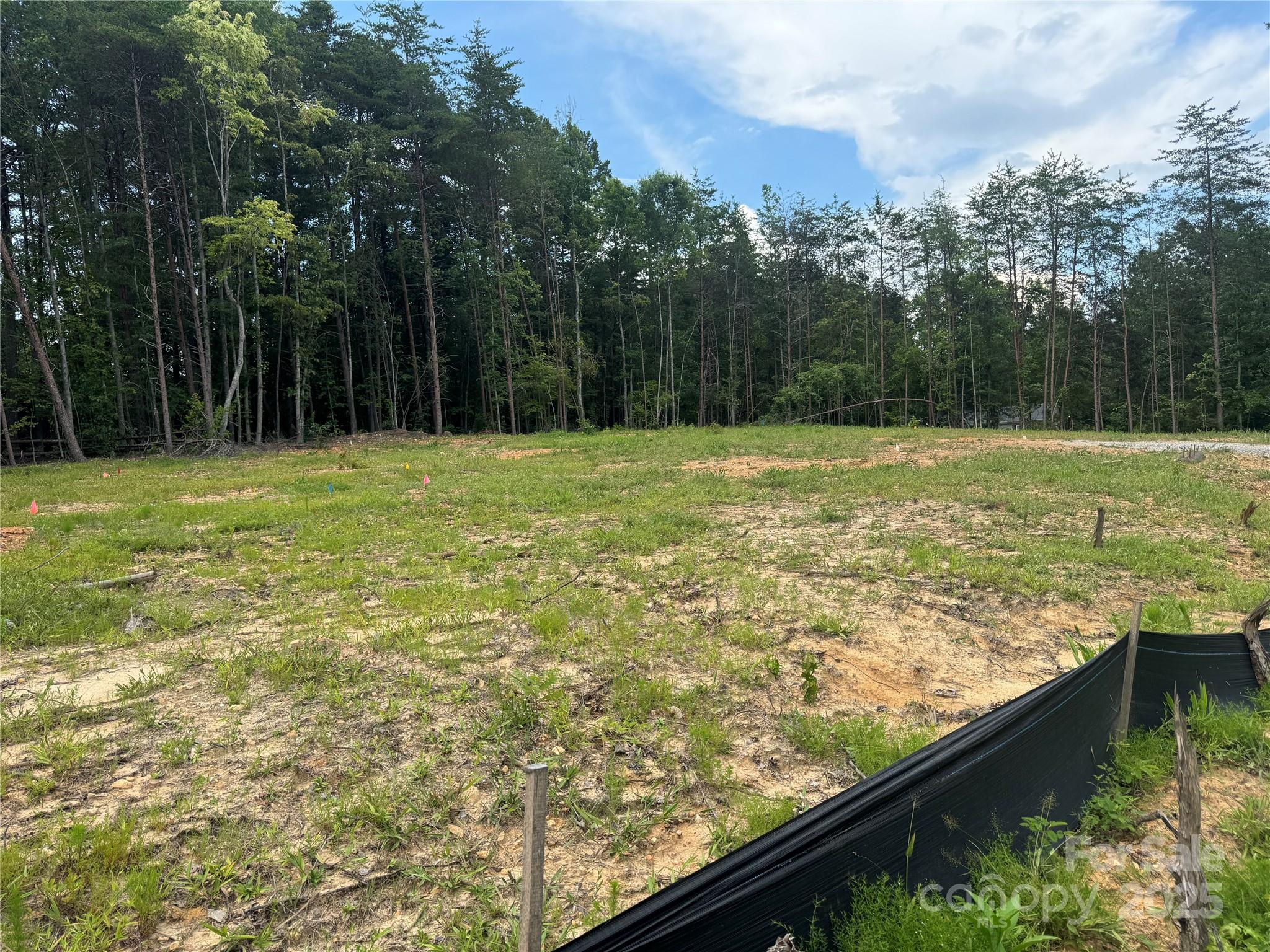 1524 Conestoga Crossing Property Photo 5