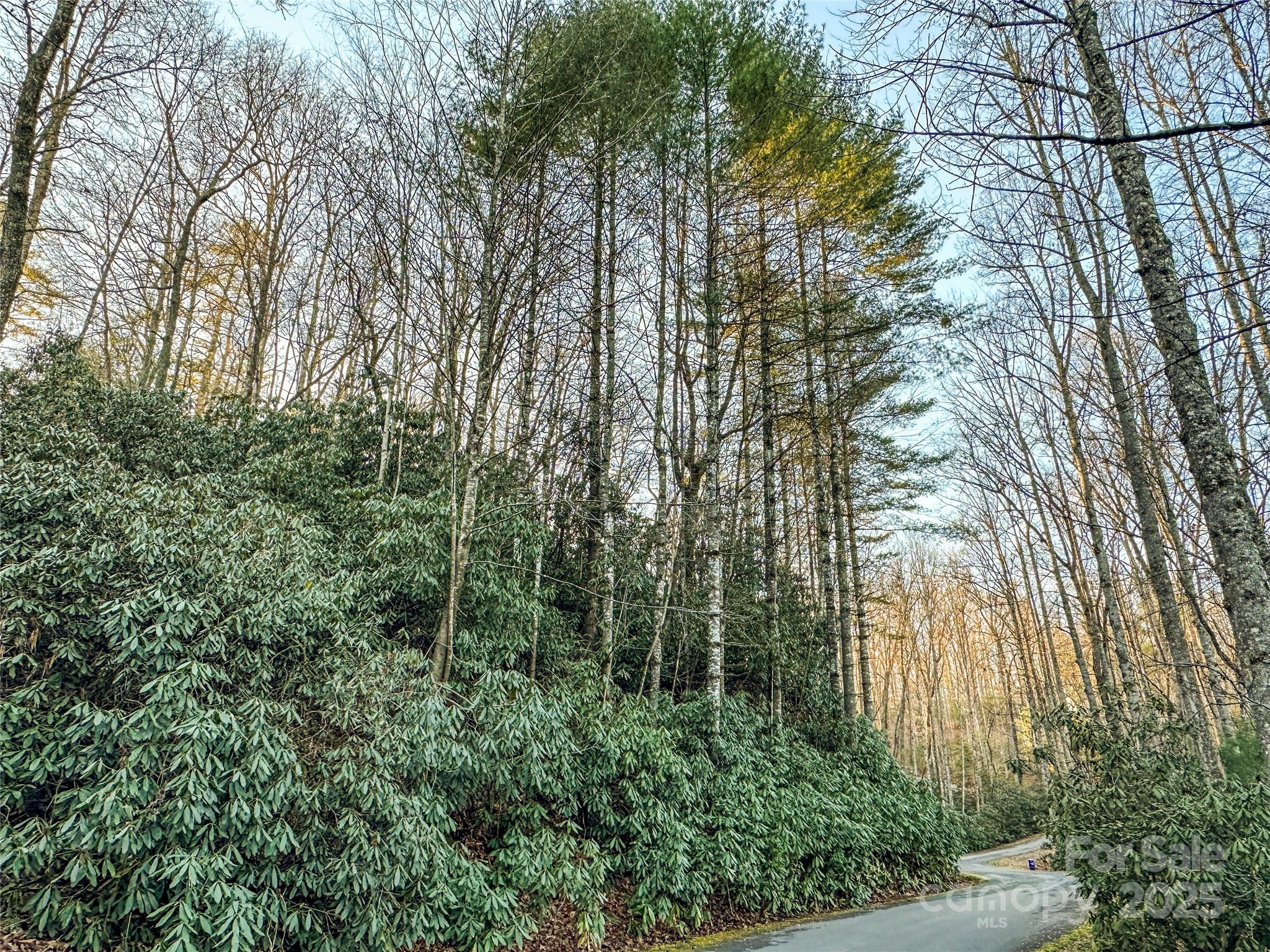 D17 Caroline Lane Property Photo 1