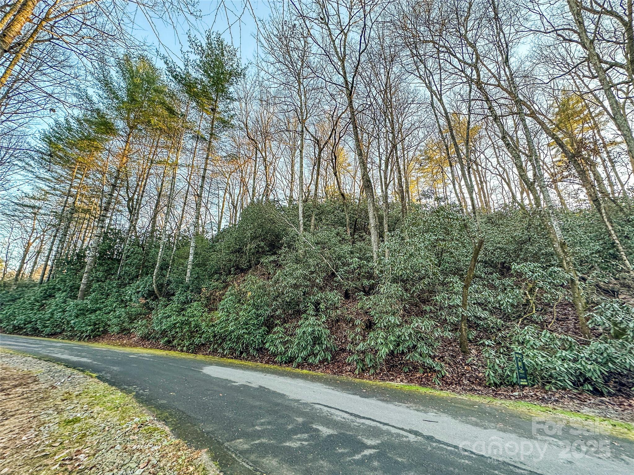 D17 Caroline Lane Property Photo 2