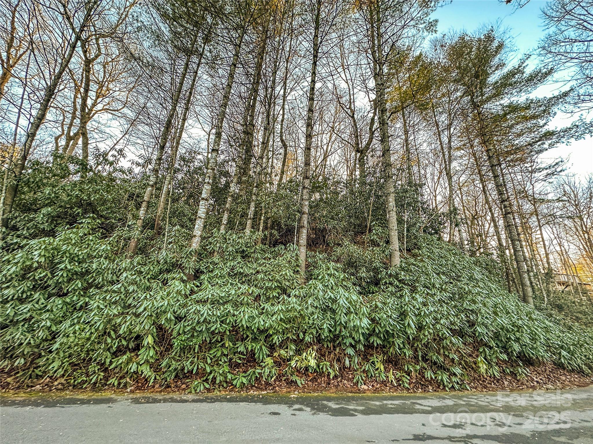 D17 Caroline Lane Property Photo 4