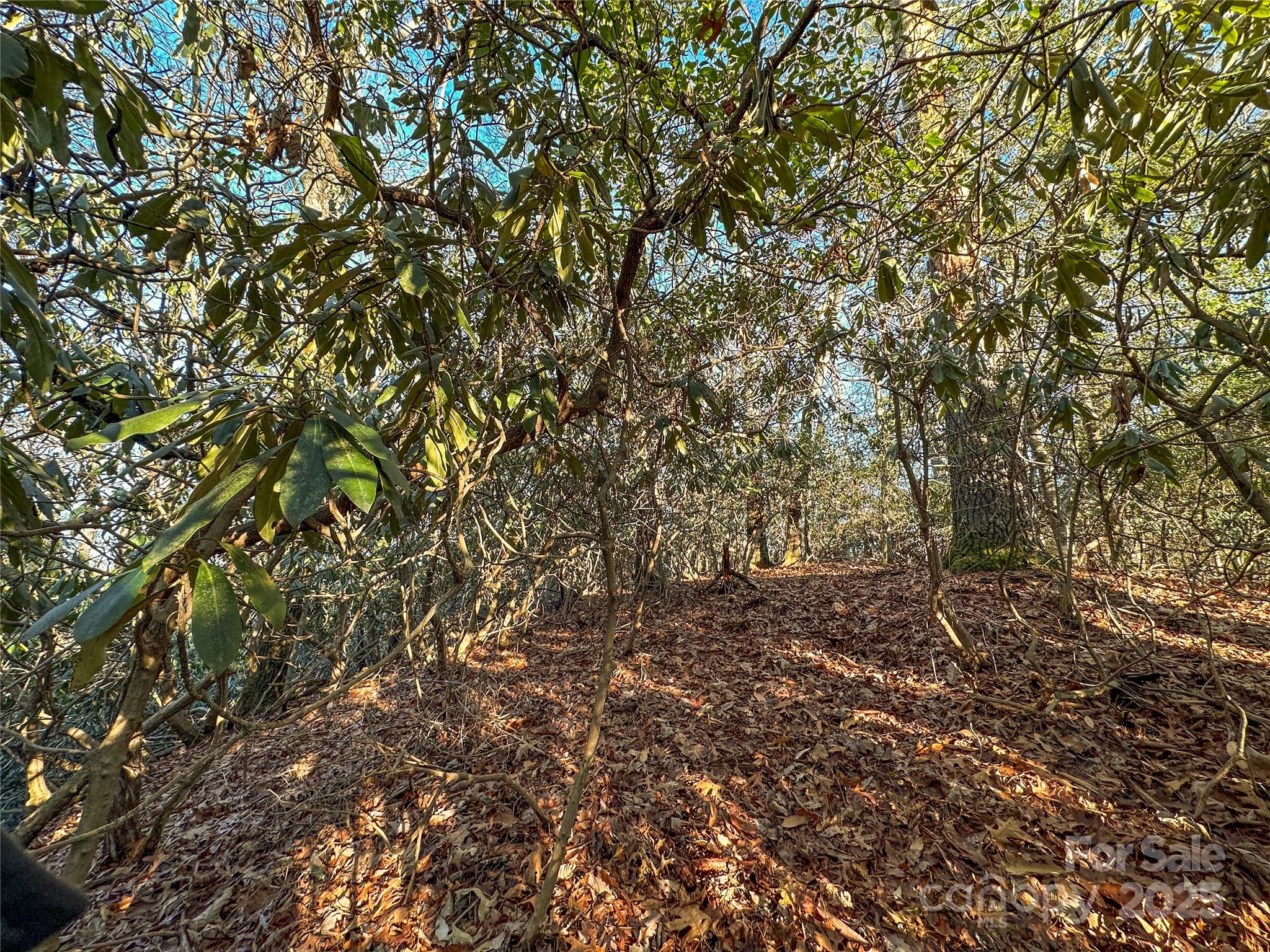 D17 Caroline Lane Property Photo 10