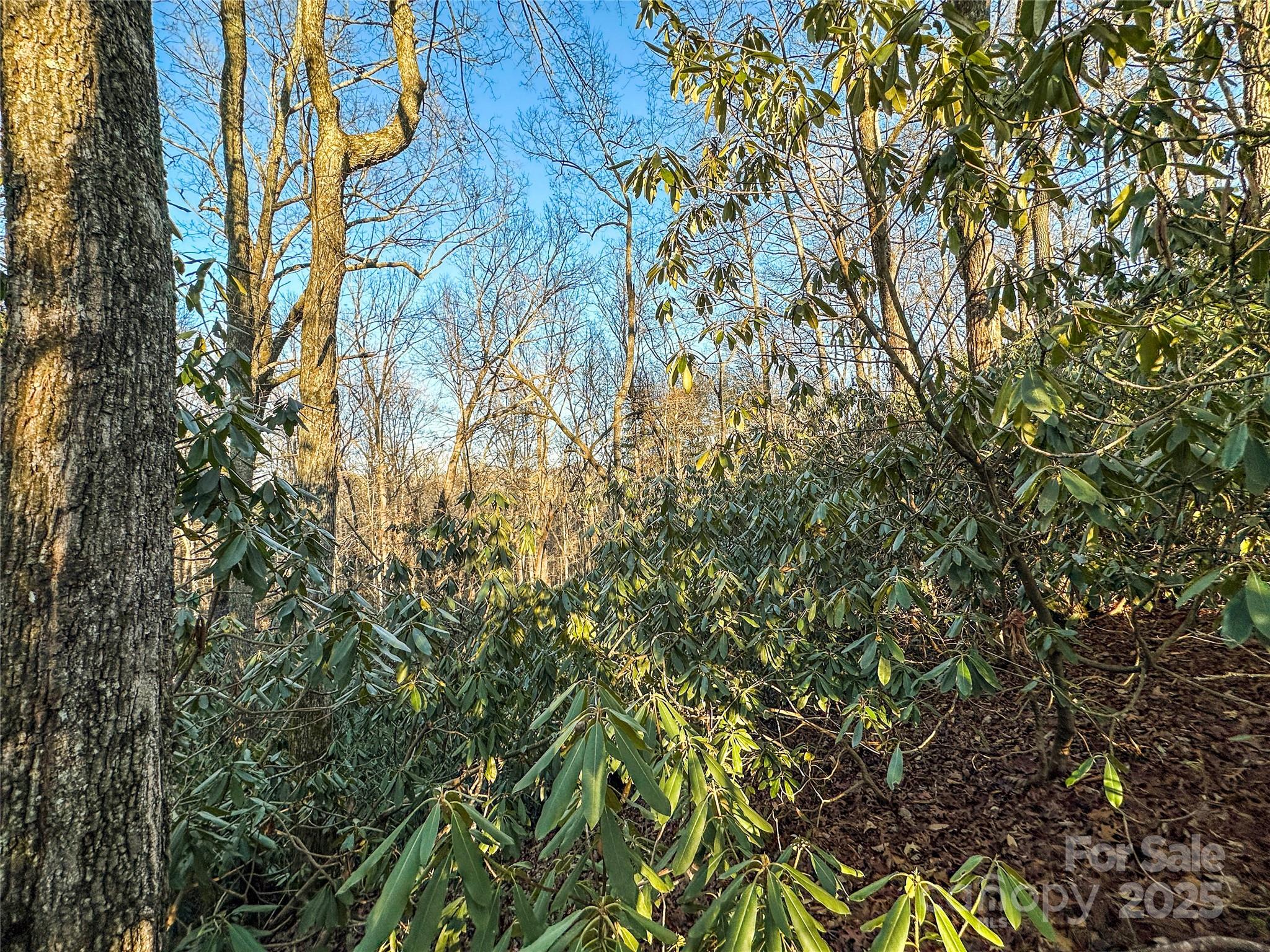 D17 Caroline Lane Property Photo 13