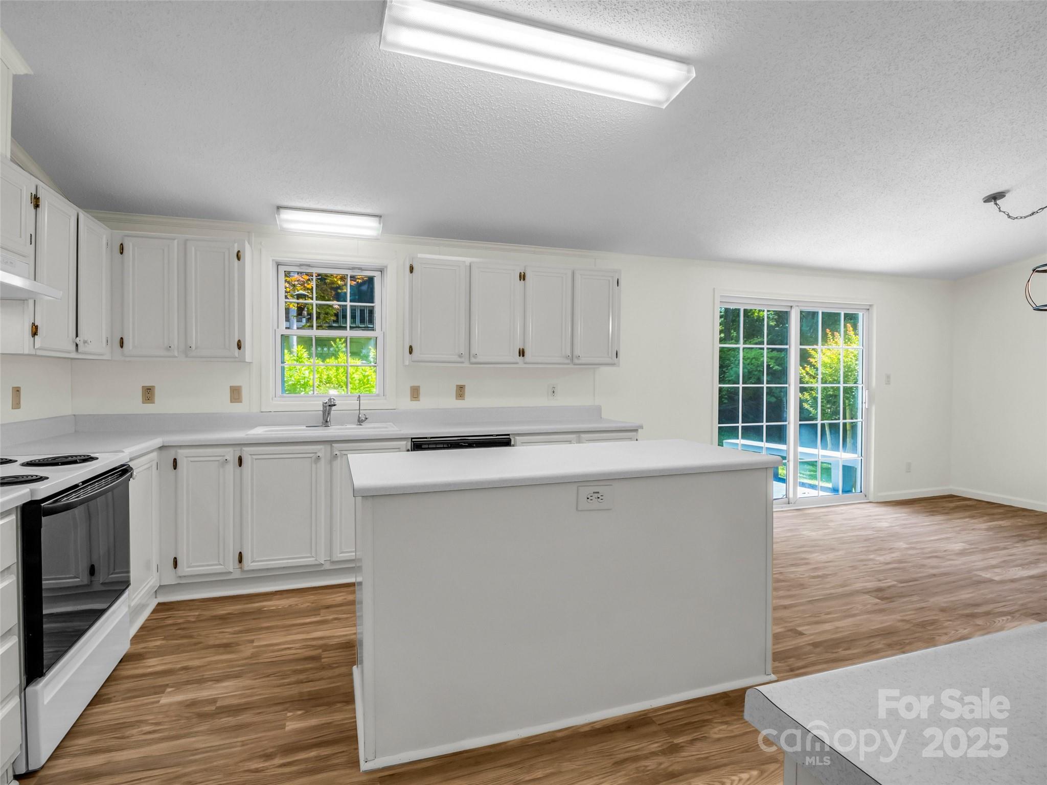 1040 Mountain View Street Property Photo 19
