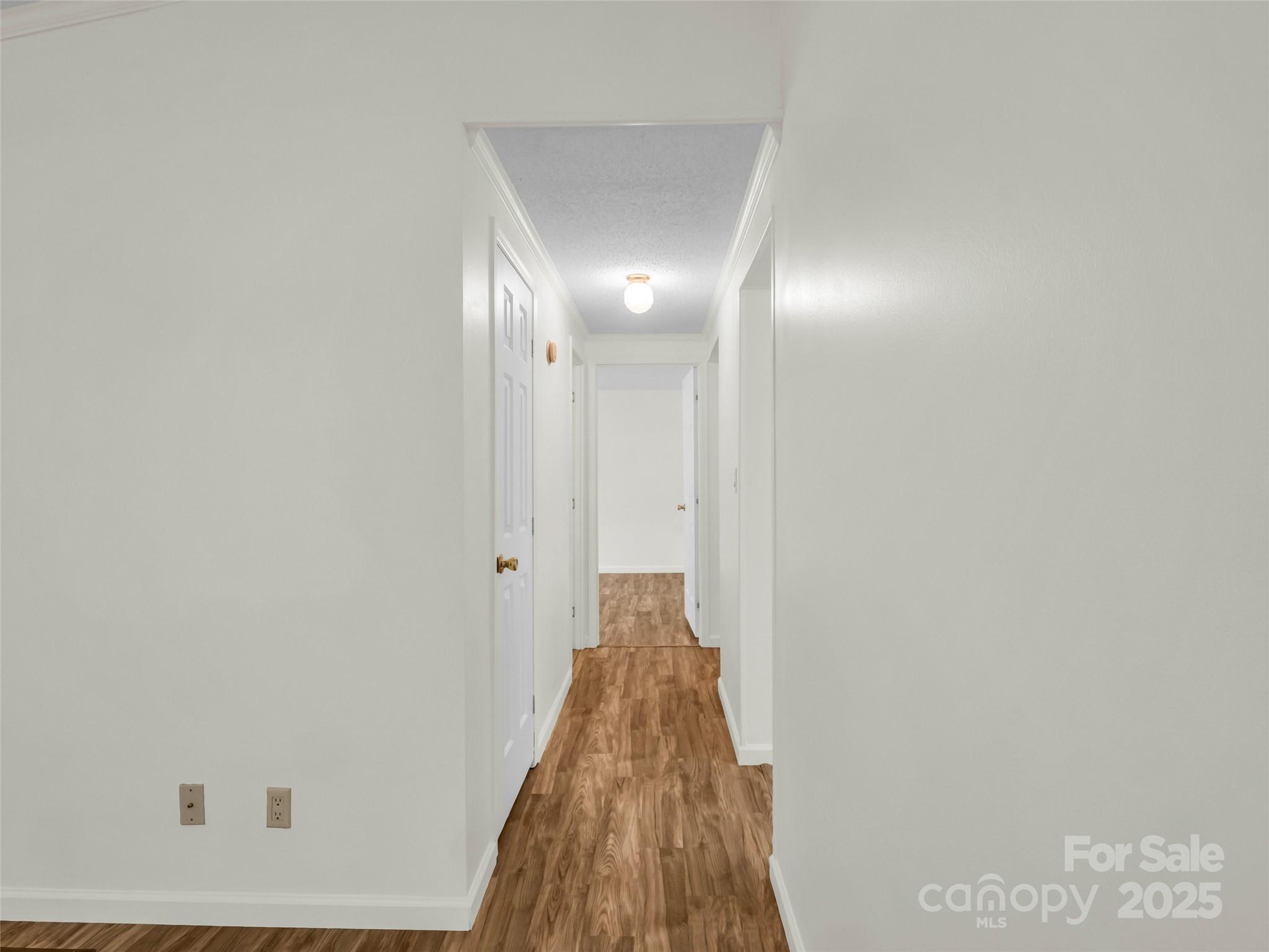 1040 Mountain View Street Property Photo 26