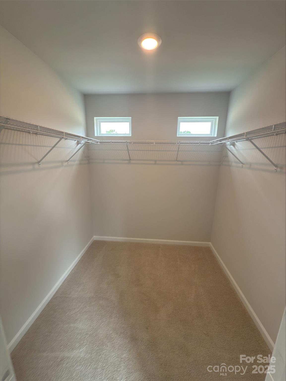 4537 Green Drake Drive Property Photo 11