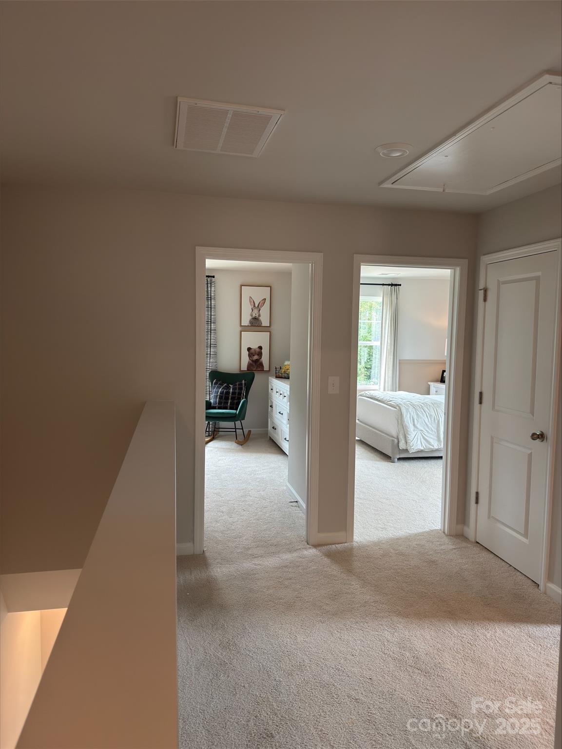 4537 Green Drake Drive Property Photo 12