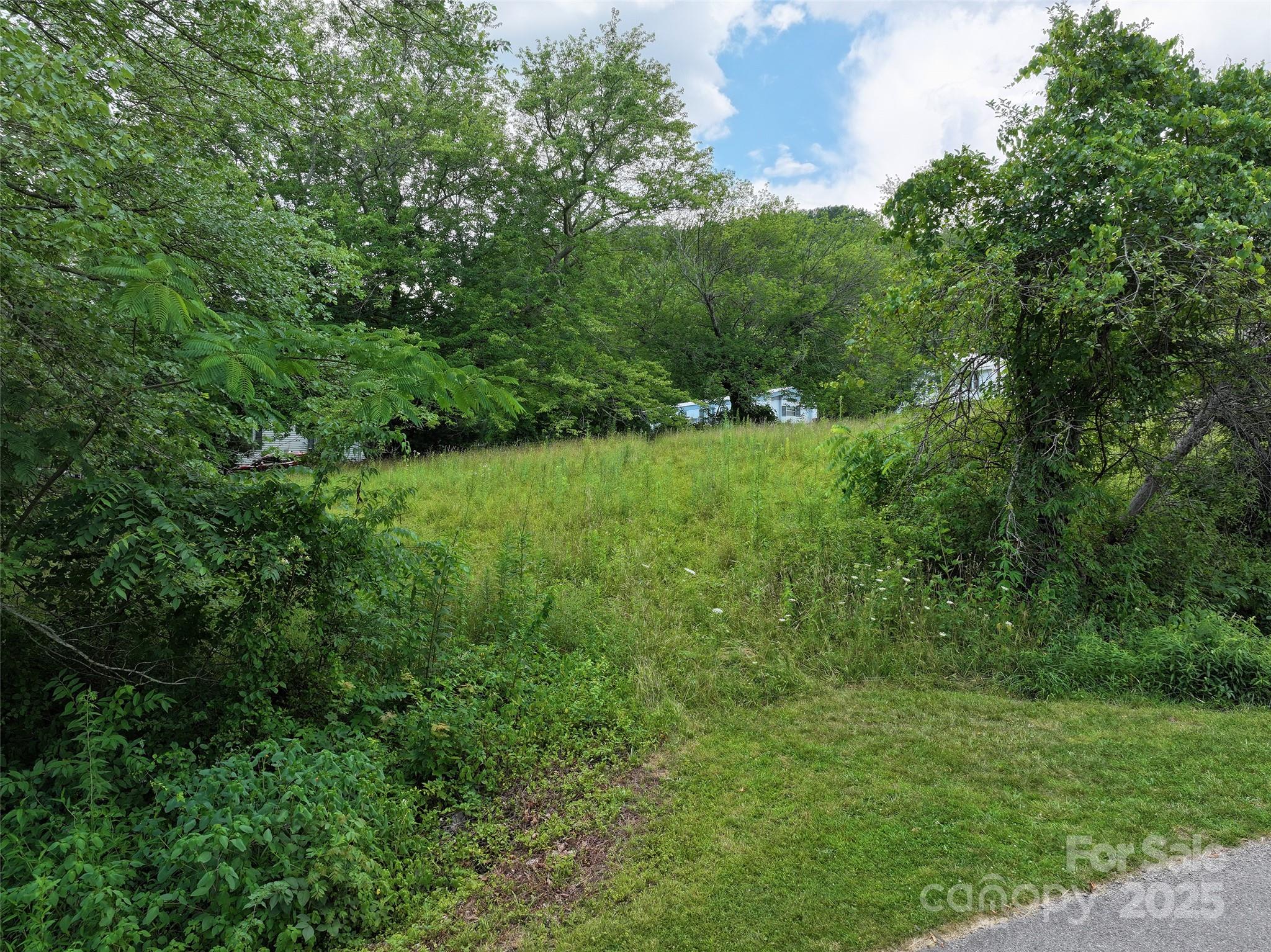 00 Mauney Cove Road Property Photo 1