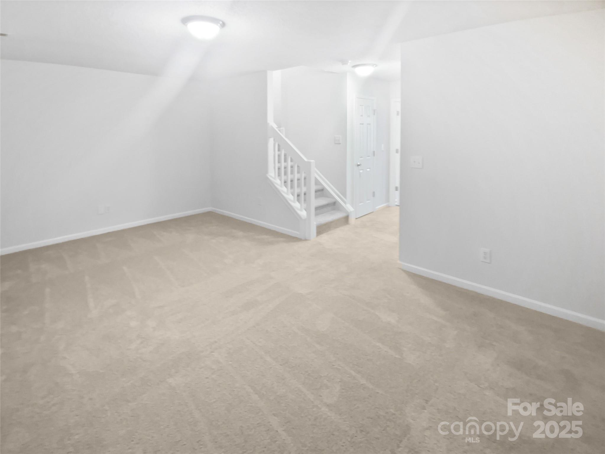 3107 Falling Rock Court Property Photo 20