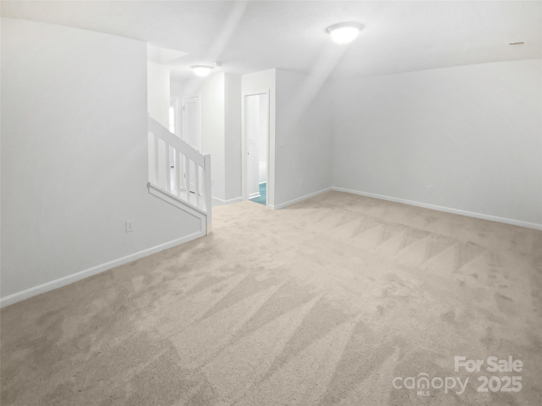 3107 Falling Rock Court Property Photo 21