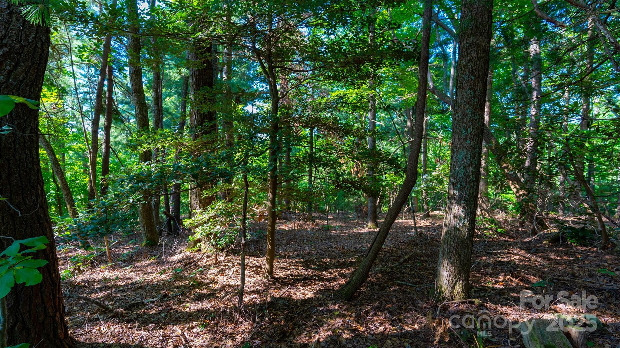 00 Glen Echo Circle Property Photo 6