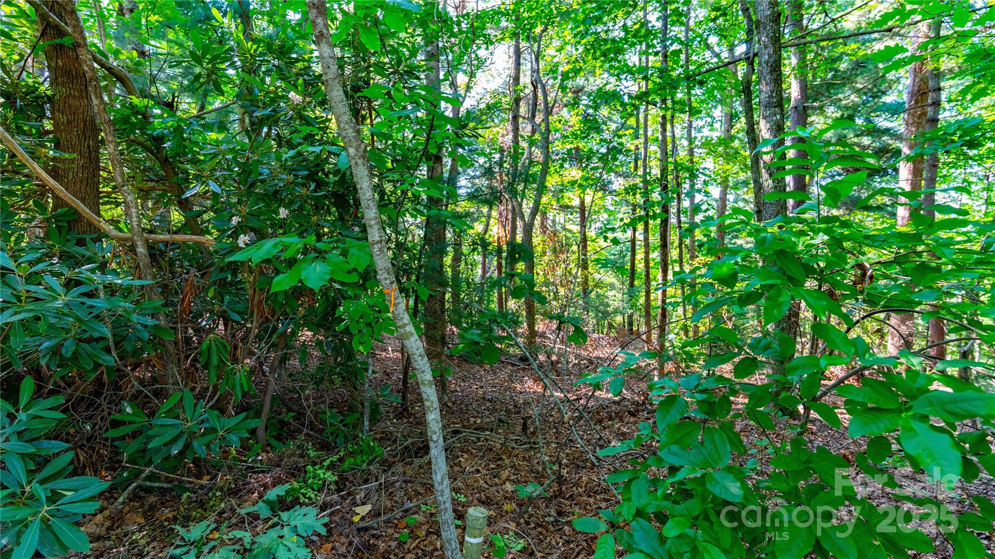 00 Glen Echo Circle Property Photo 9