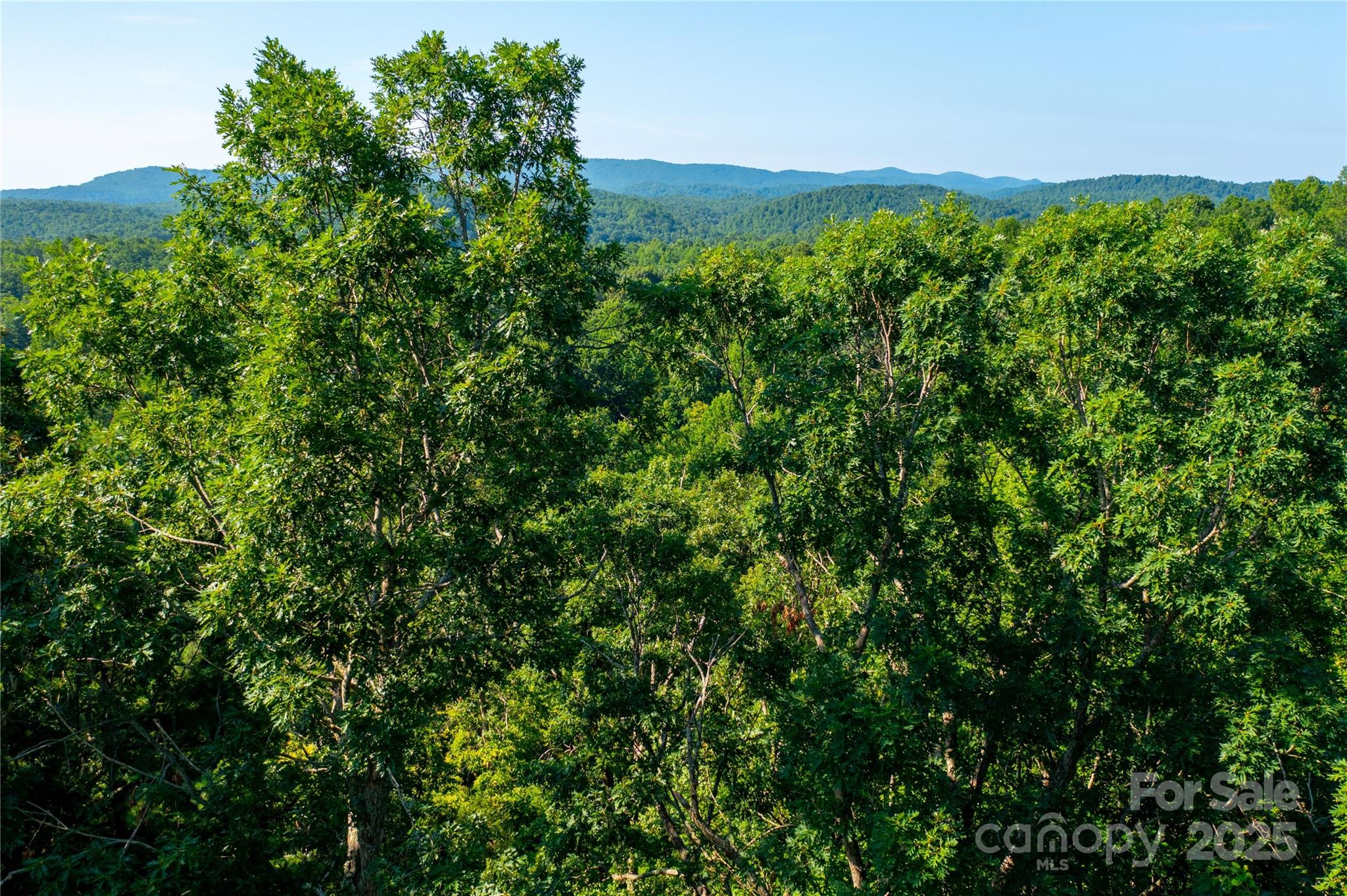 00 Glen Echo Circle Property Photo 13
