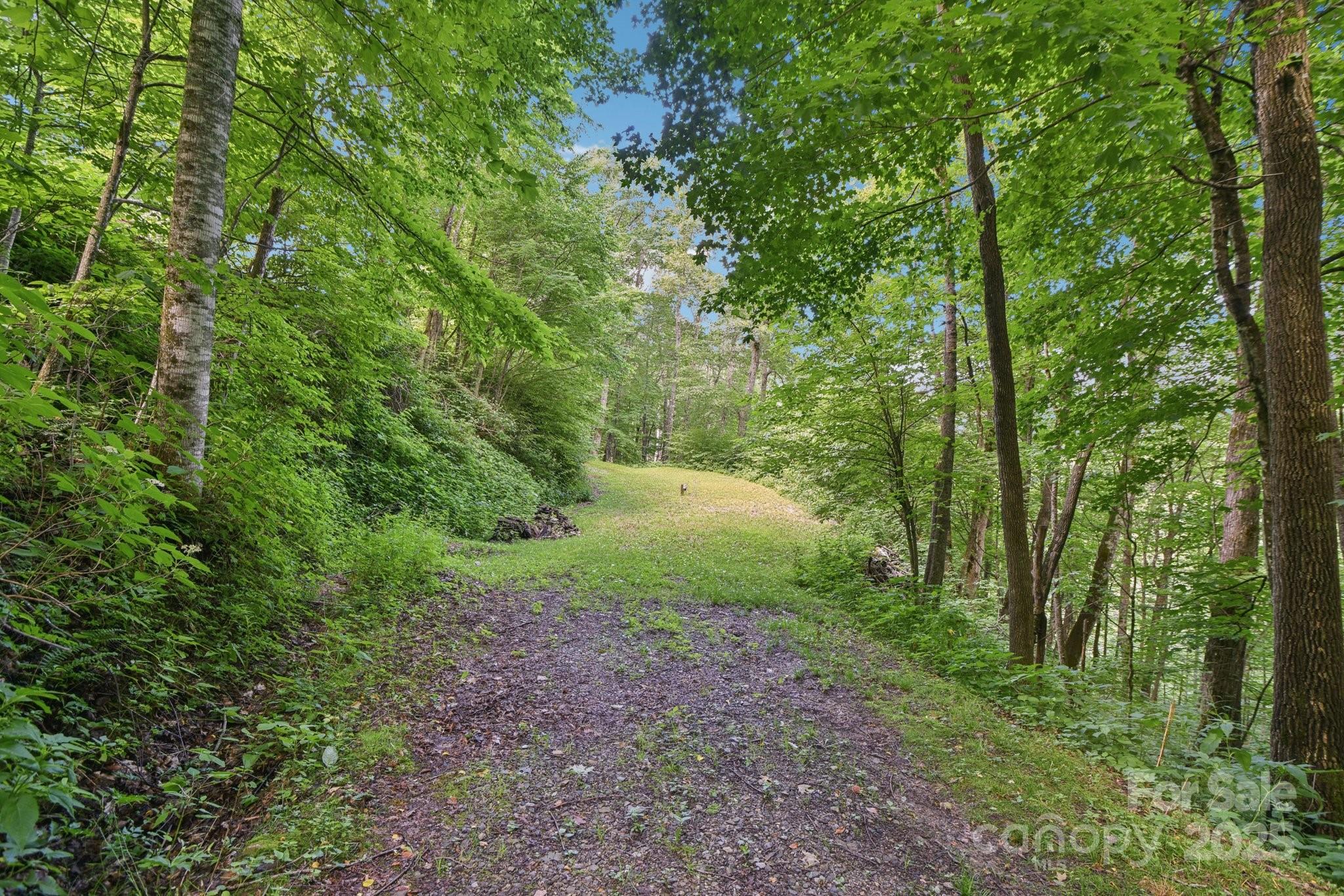 0000 Plott Balsam Road Property Photo 3