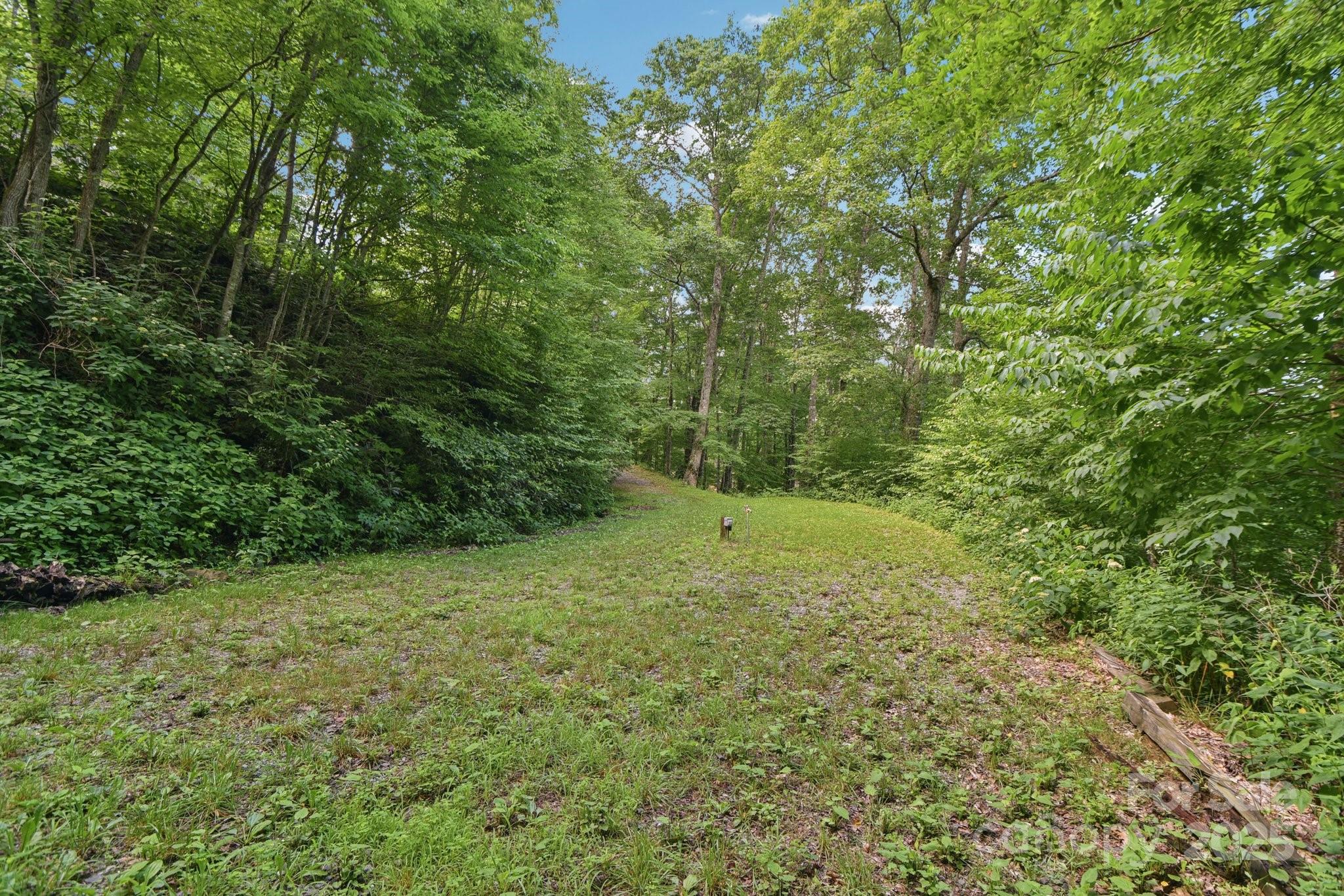 0000 Plott Balsam Road Property Photo 4