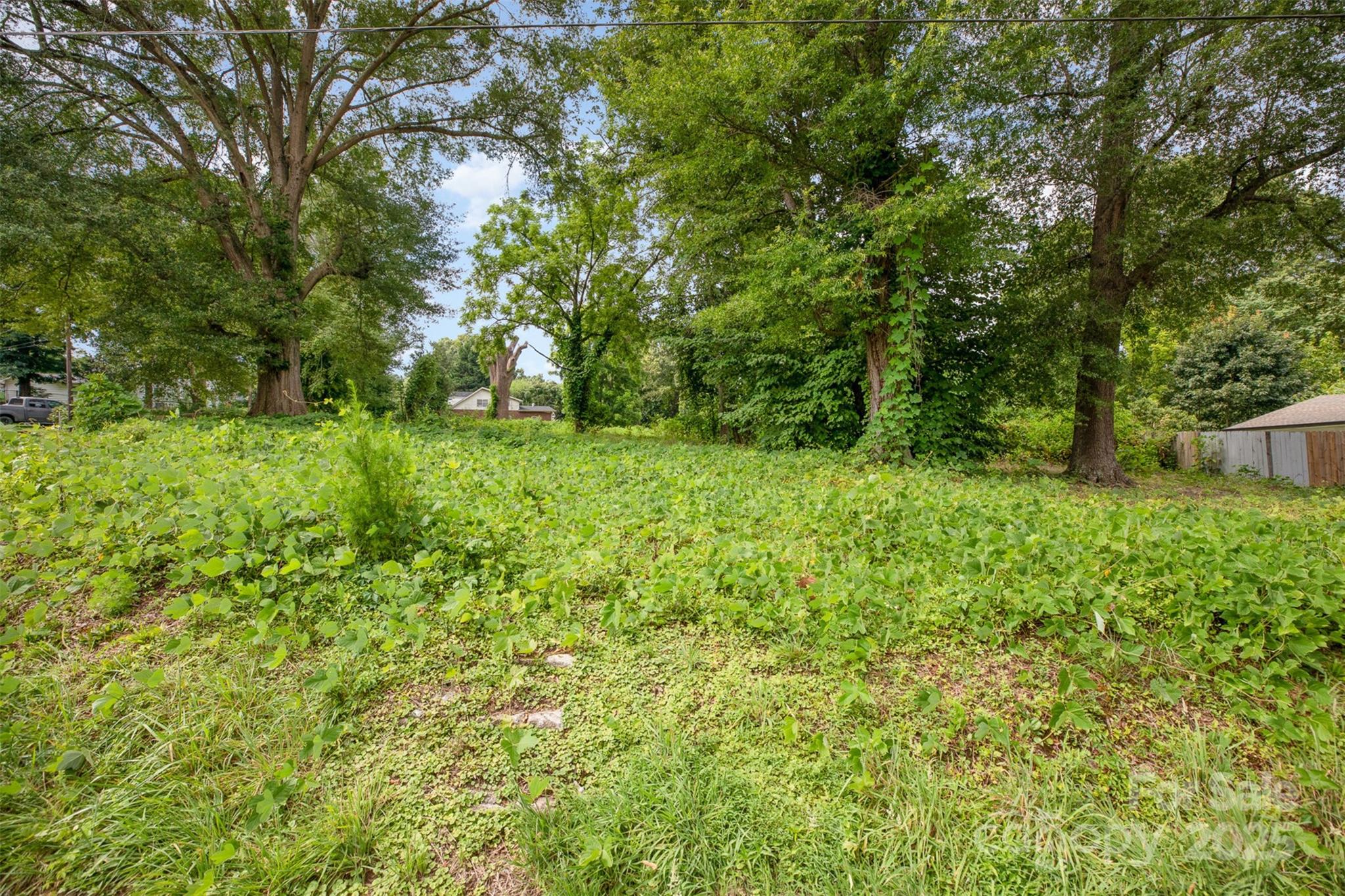 1013 Elm Street Property Photo 5