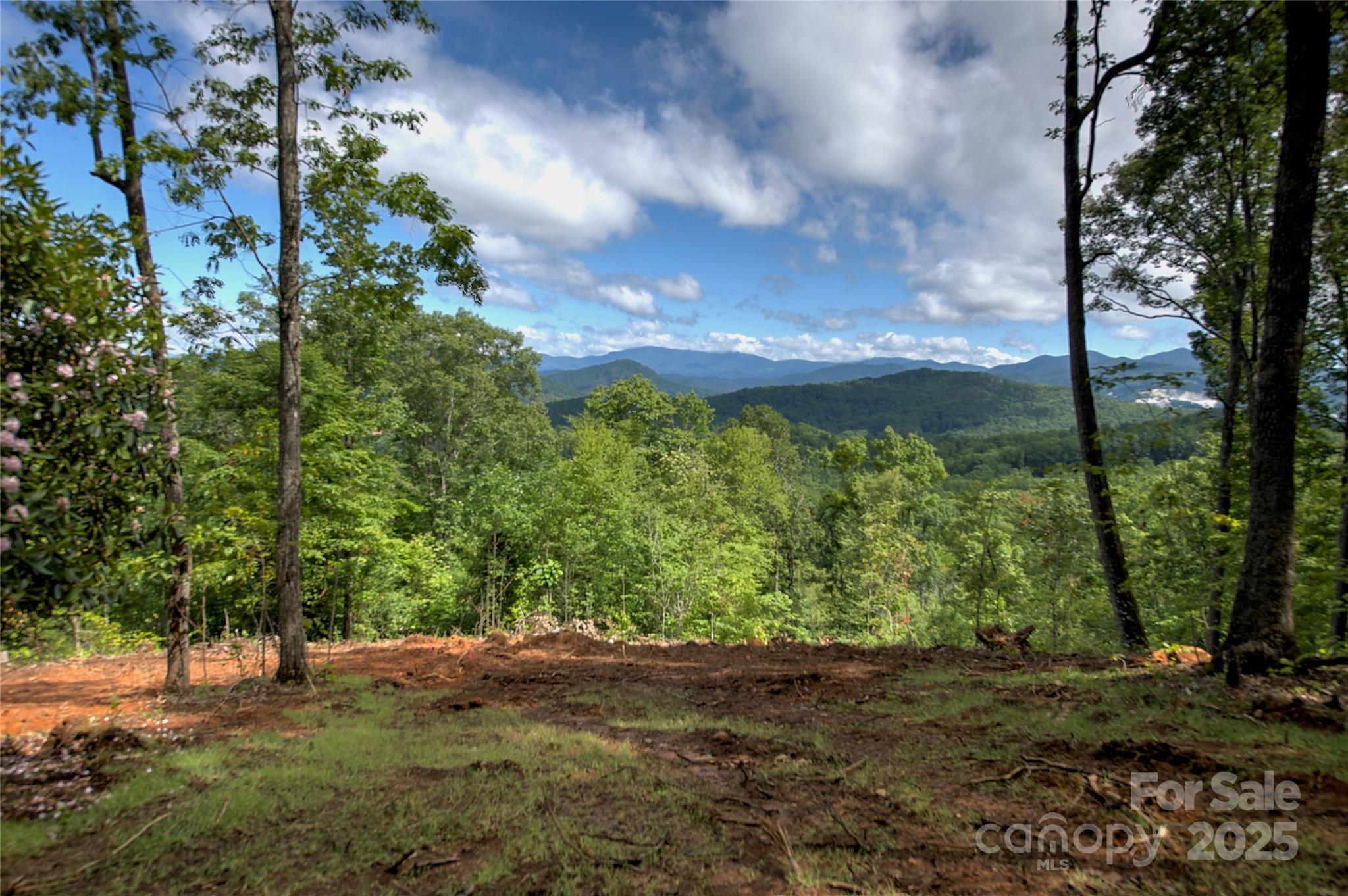 000 Charlie Woody Mountain Road Property Photo 1
