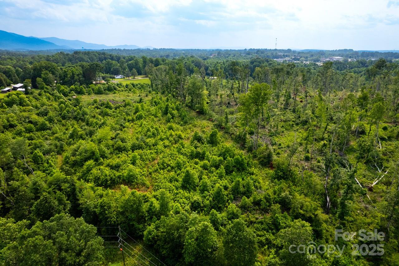 114 Williams Road Property Photo 3