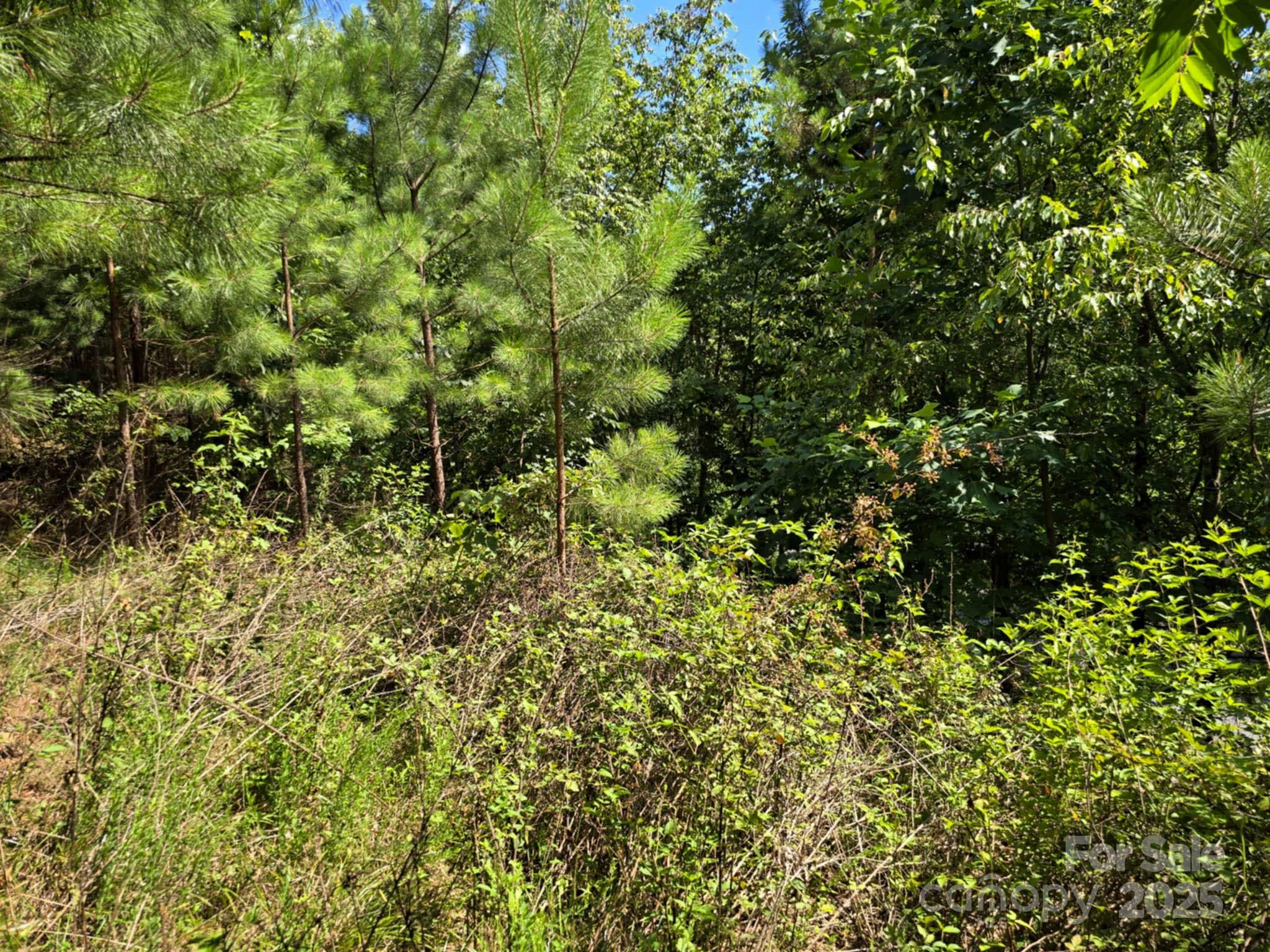 Lot 159 Westridge Drive Property Photo 10
