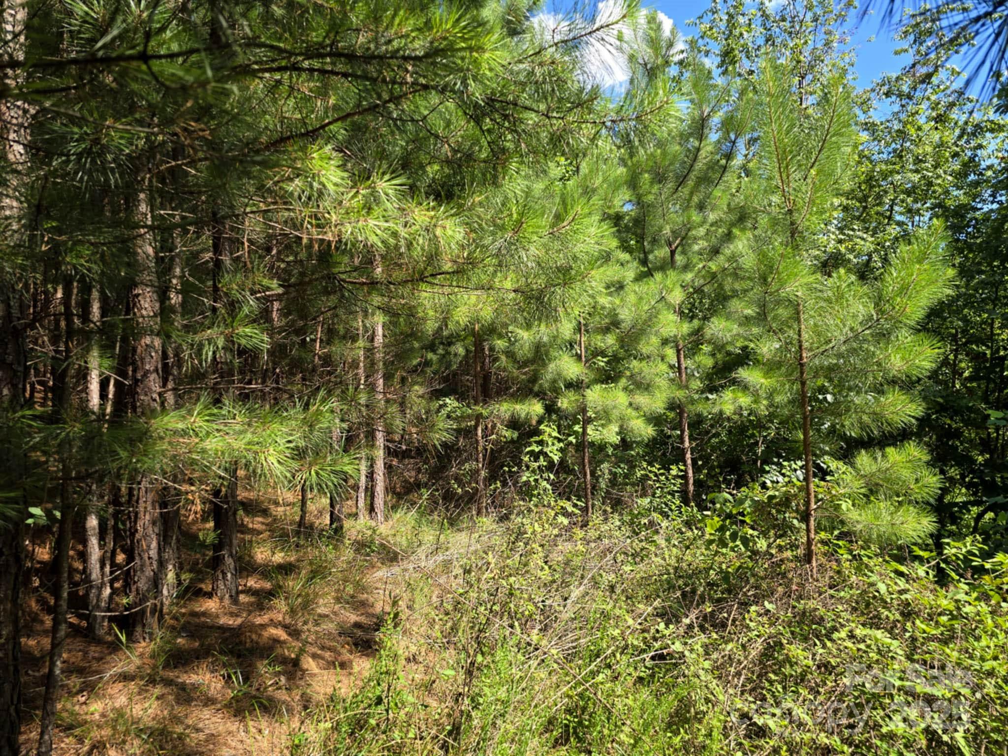 Lot 159 Westridge Drive Property Photo 11