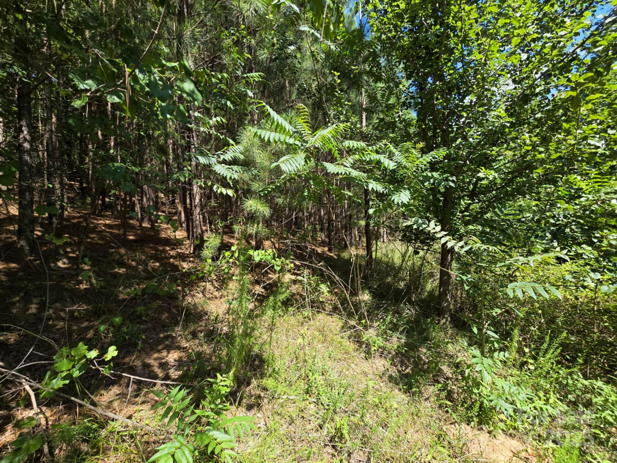 Lot 159 Westridge Drive Property Photo 12