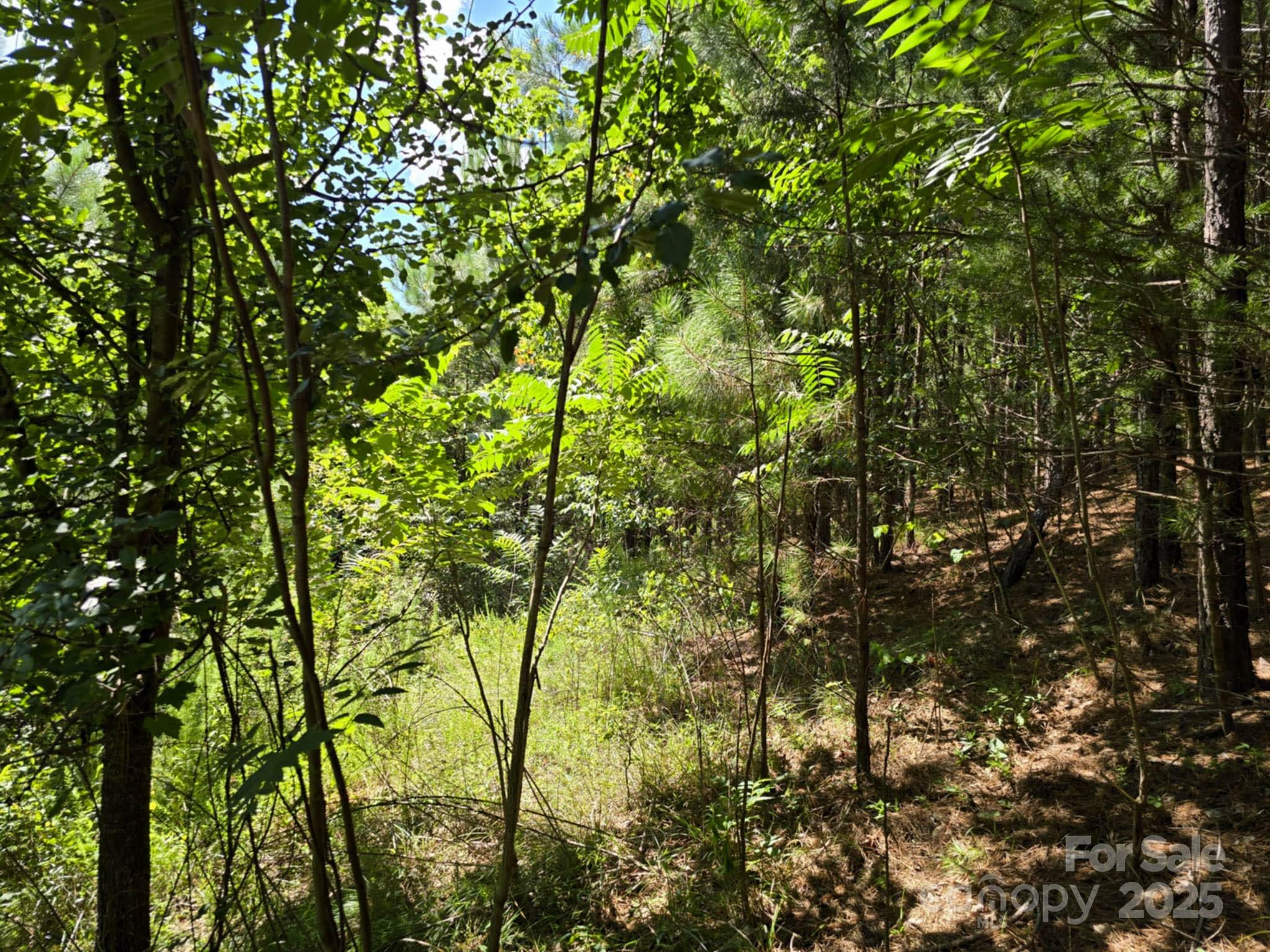 Lot 159 Westridge Drive Property Photo 13