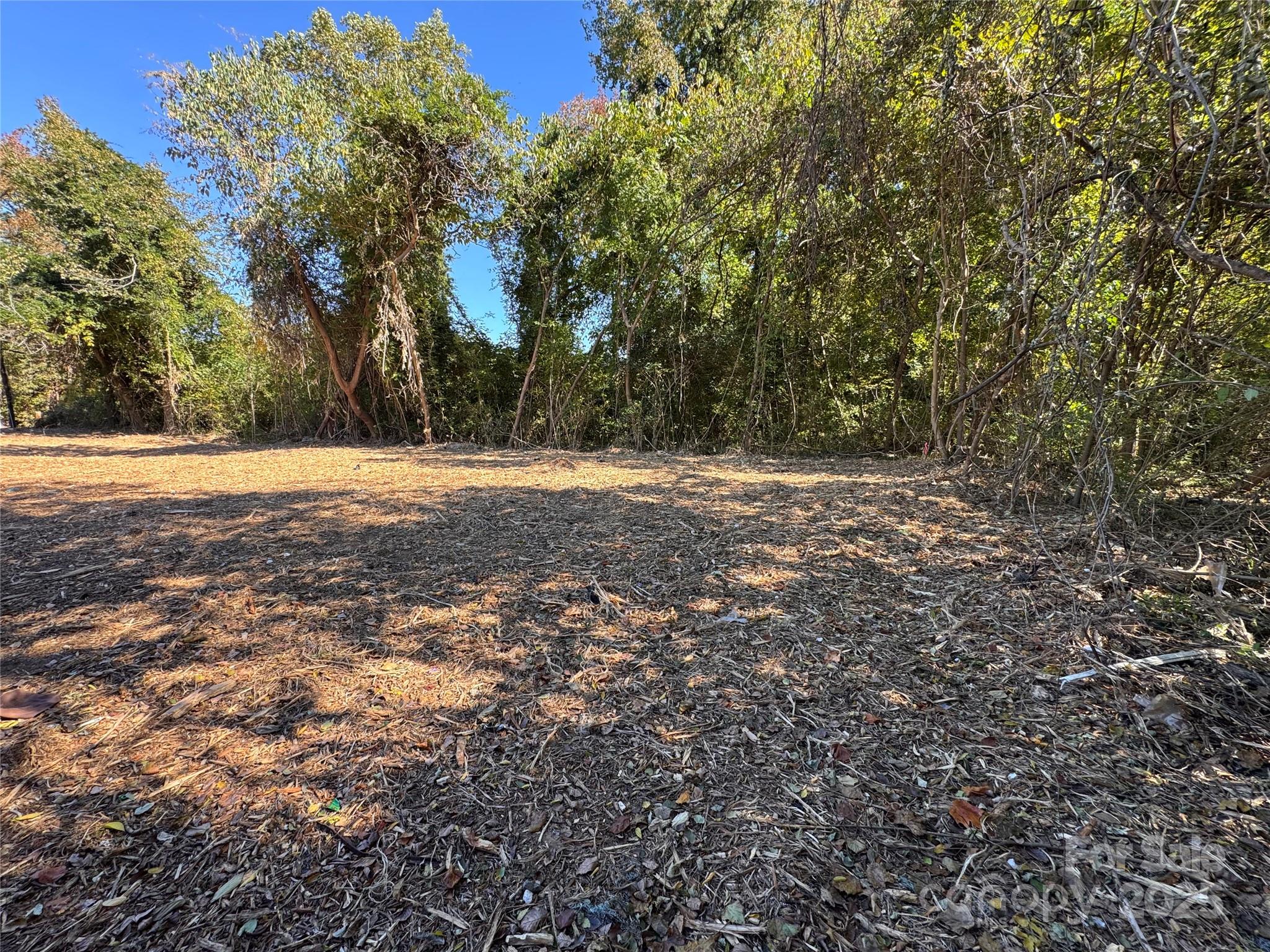 3017 Melita Avenue Property Photo 5