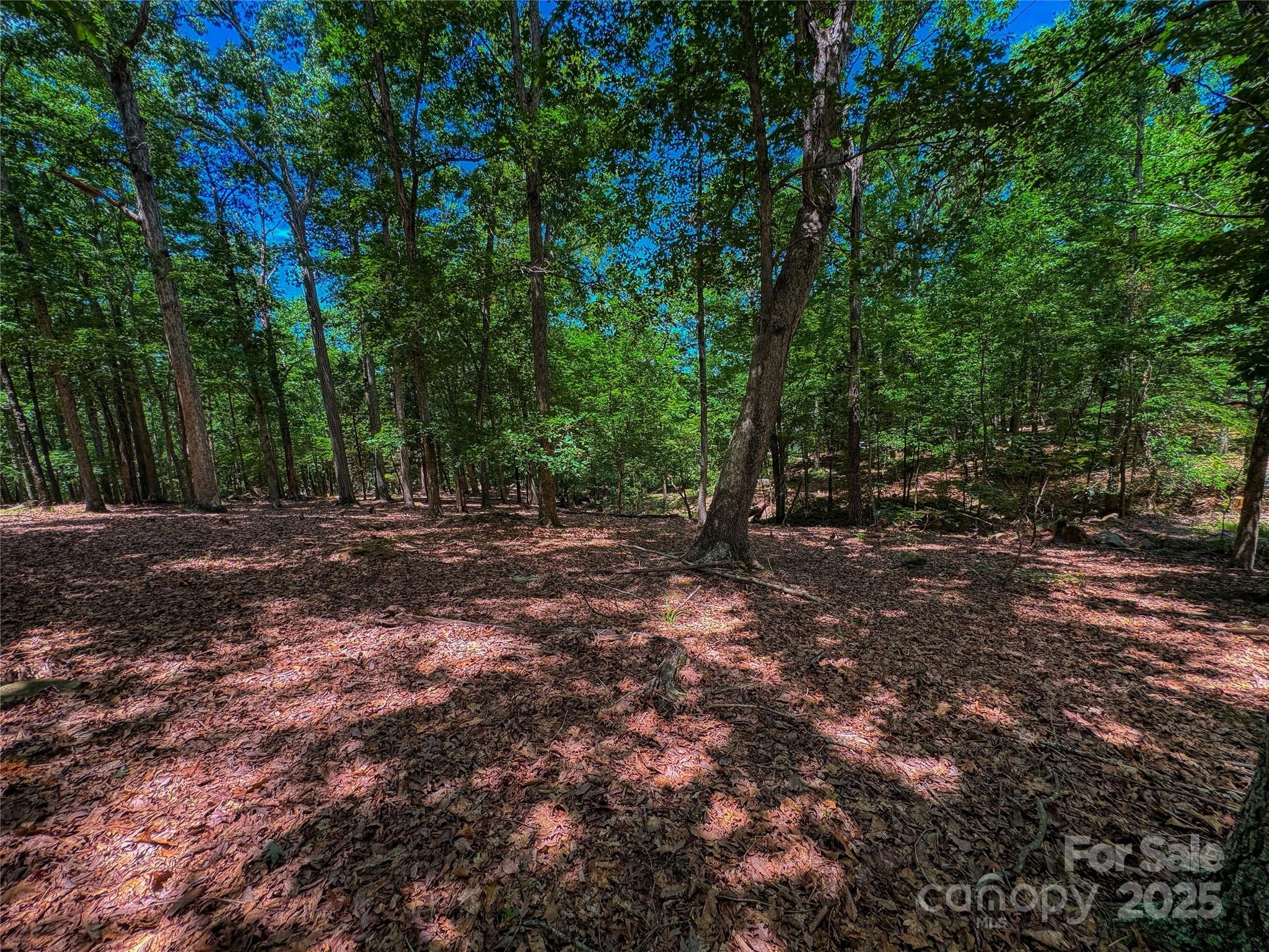1560 Rocky Cove Lane Property Photo 1