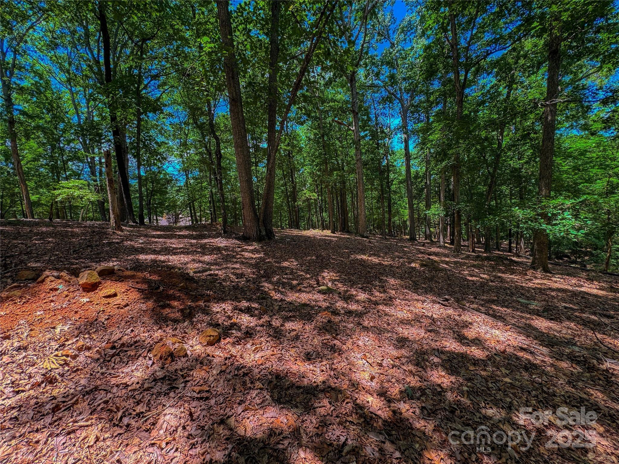 1560 Rocky Cove Lane Property Photo 2
