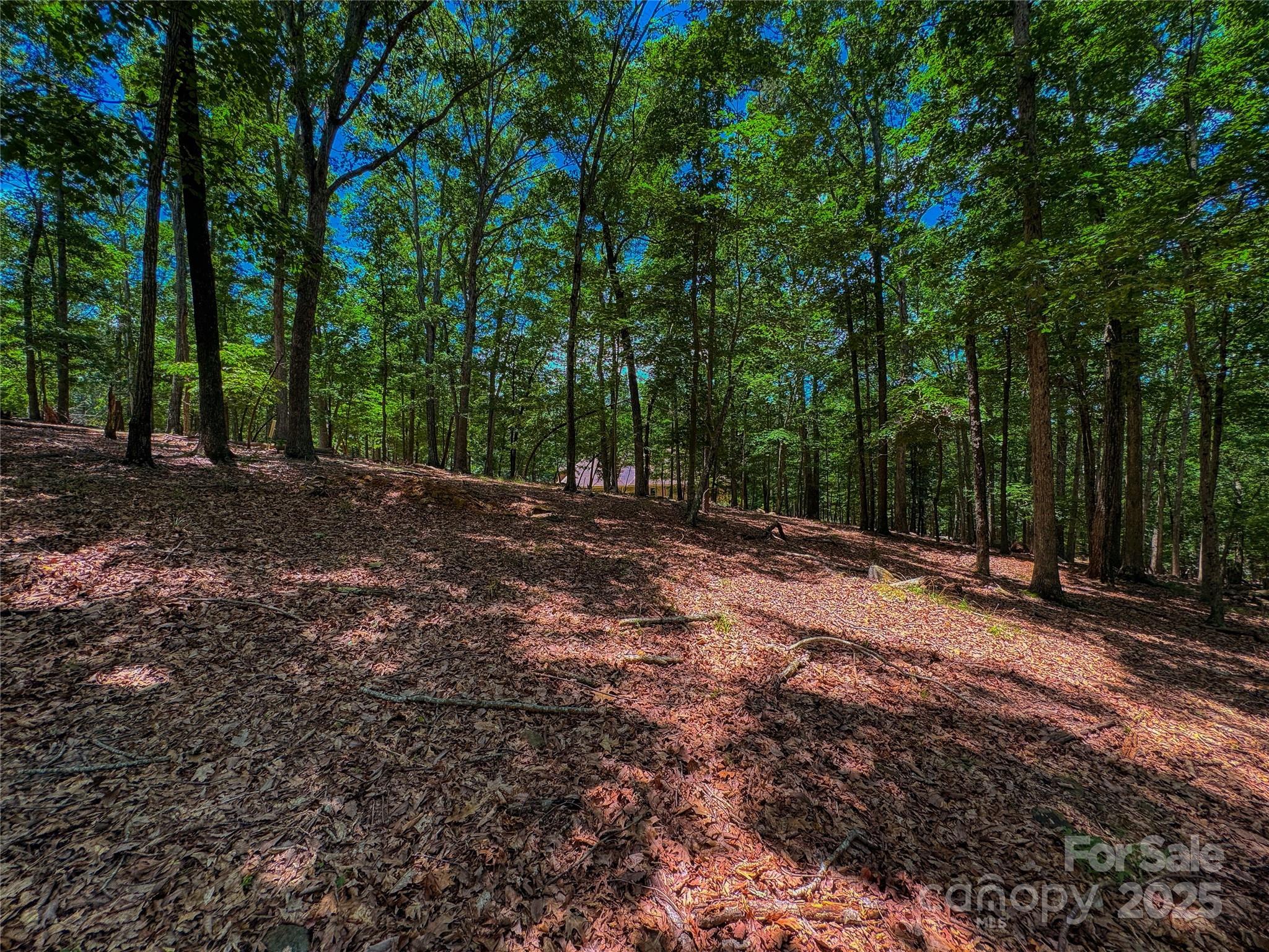 1560 Rocky Cove Lane Property Photo 4