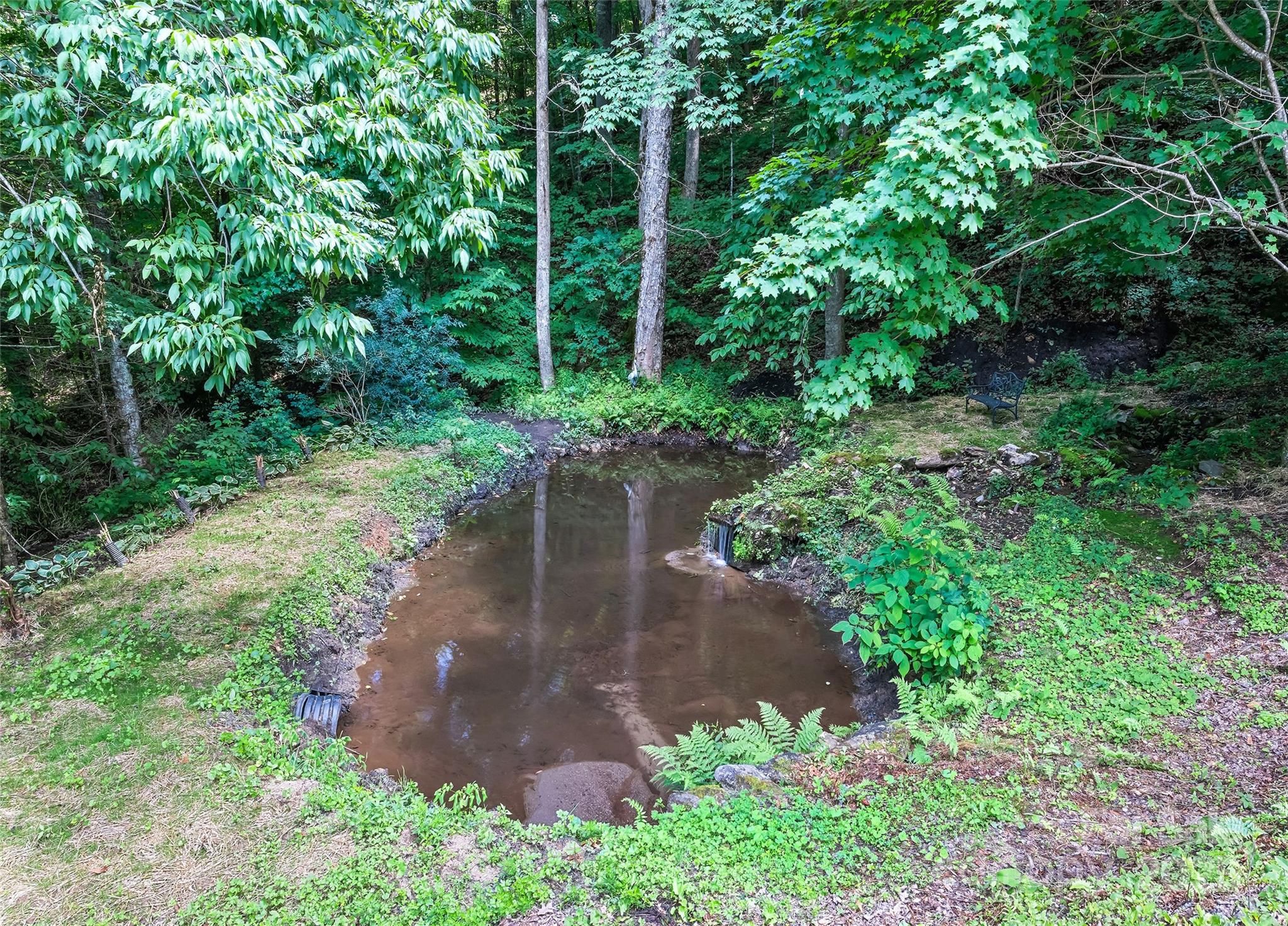 1591 Chestnut Flats Lane Property Photo 34