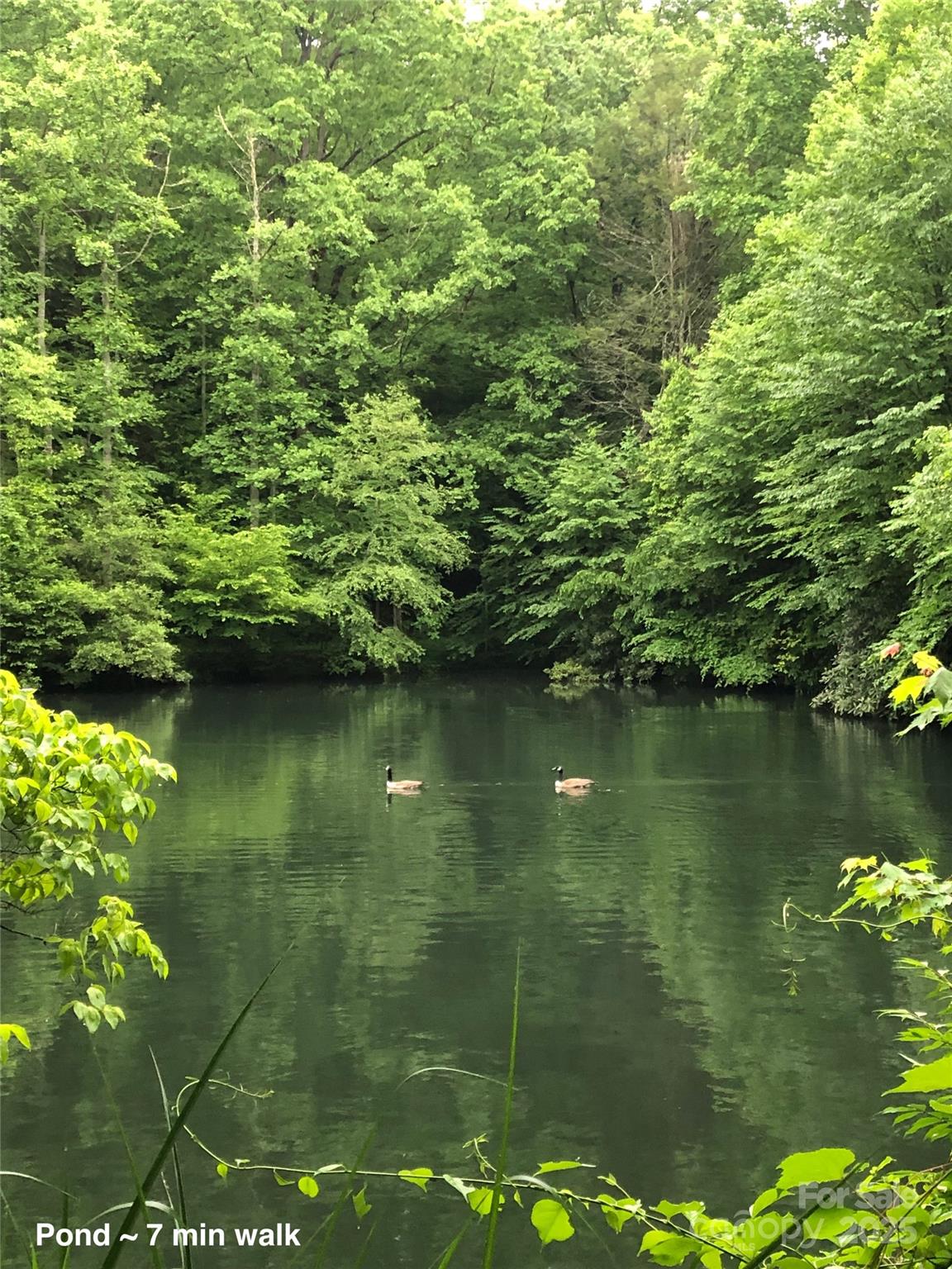 126 And 111 Visionview Way Property Photo 43