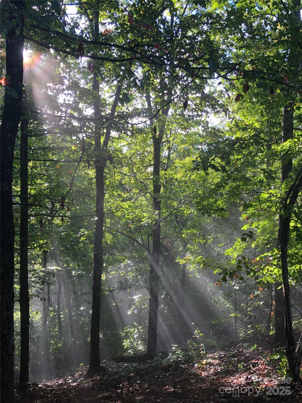 126 And 111 Visionview Way Property Photo 44