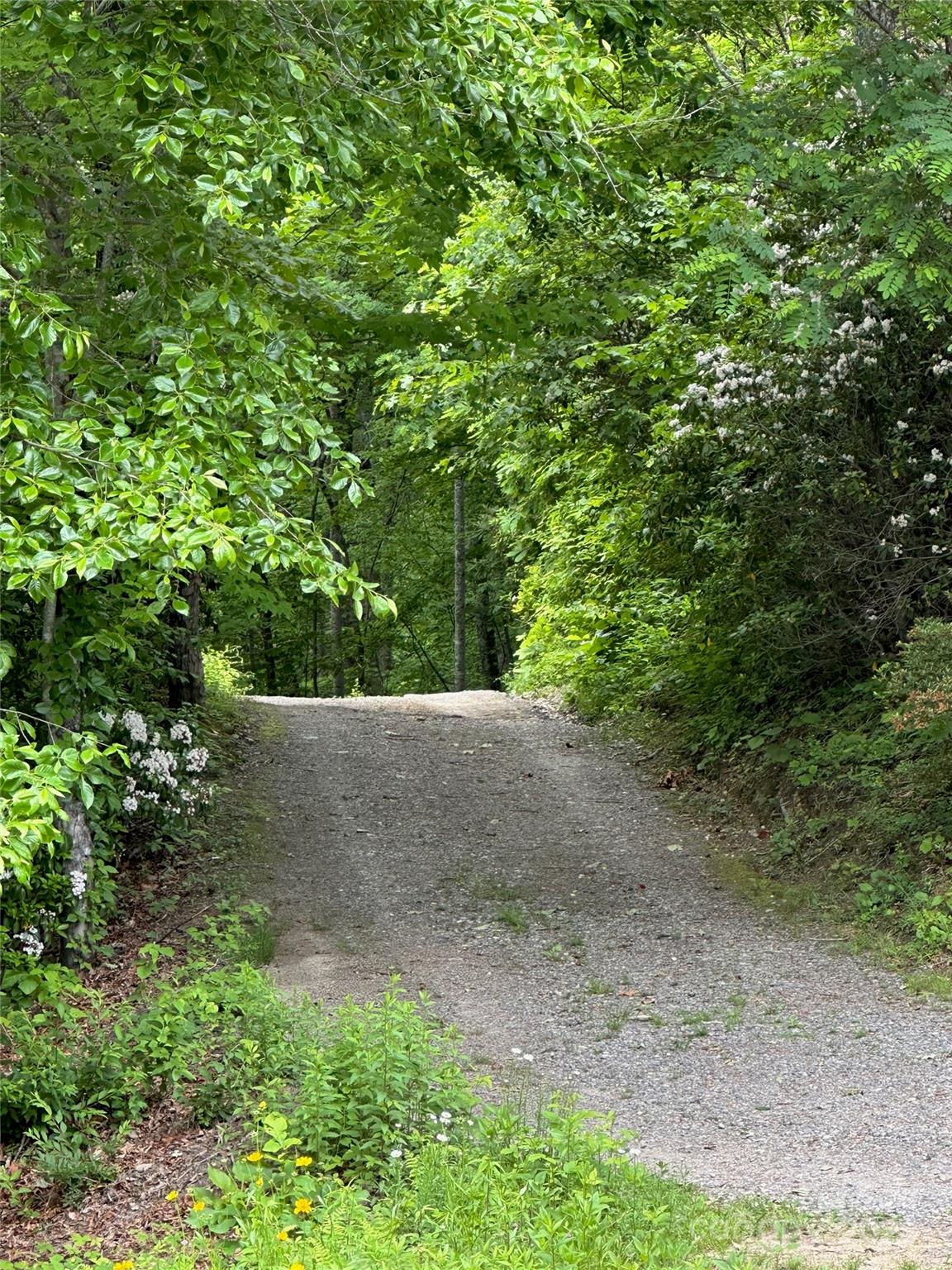 126 And 111 Visionview Way Property Photo 45