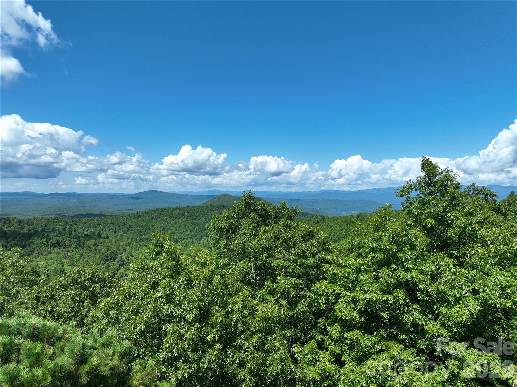 117 Sahalee Trail 2 Property Photo 3
