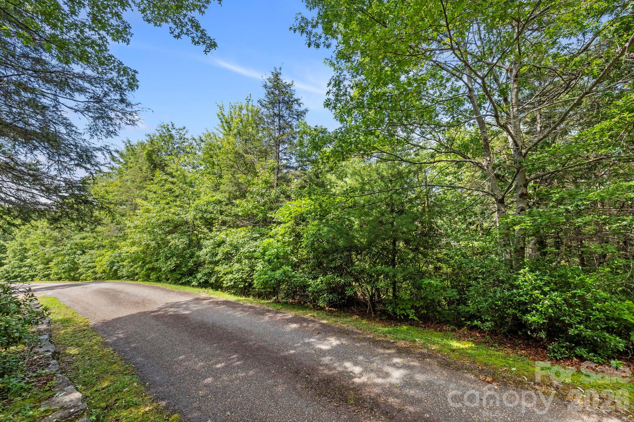 117 Sahalee Trail 2 Property Photo 14