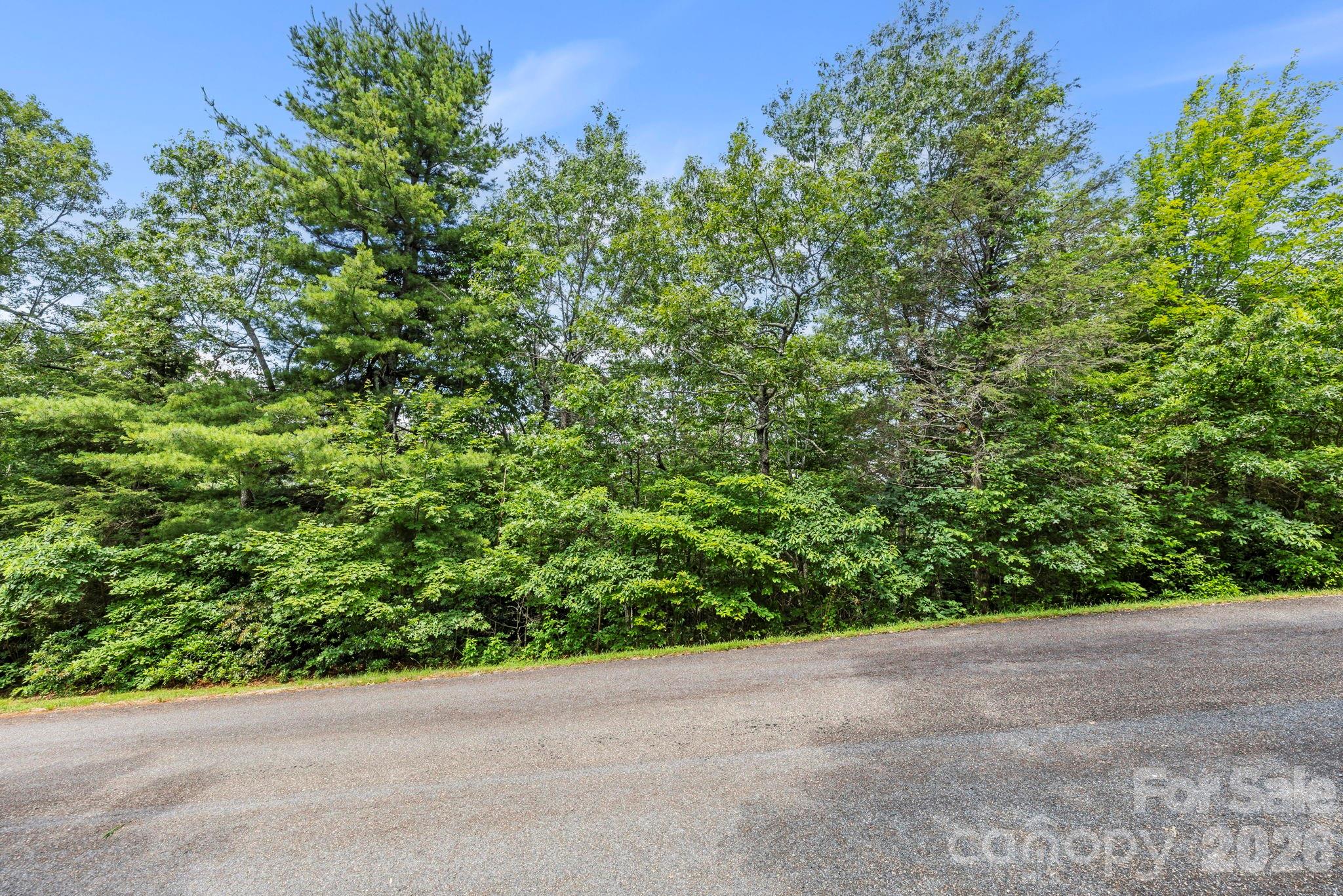 117 Sahalee Trail 2 Property Photo 17