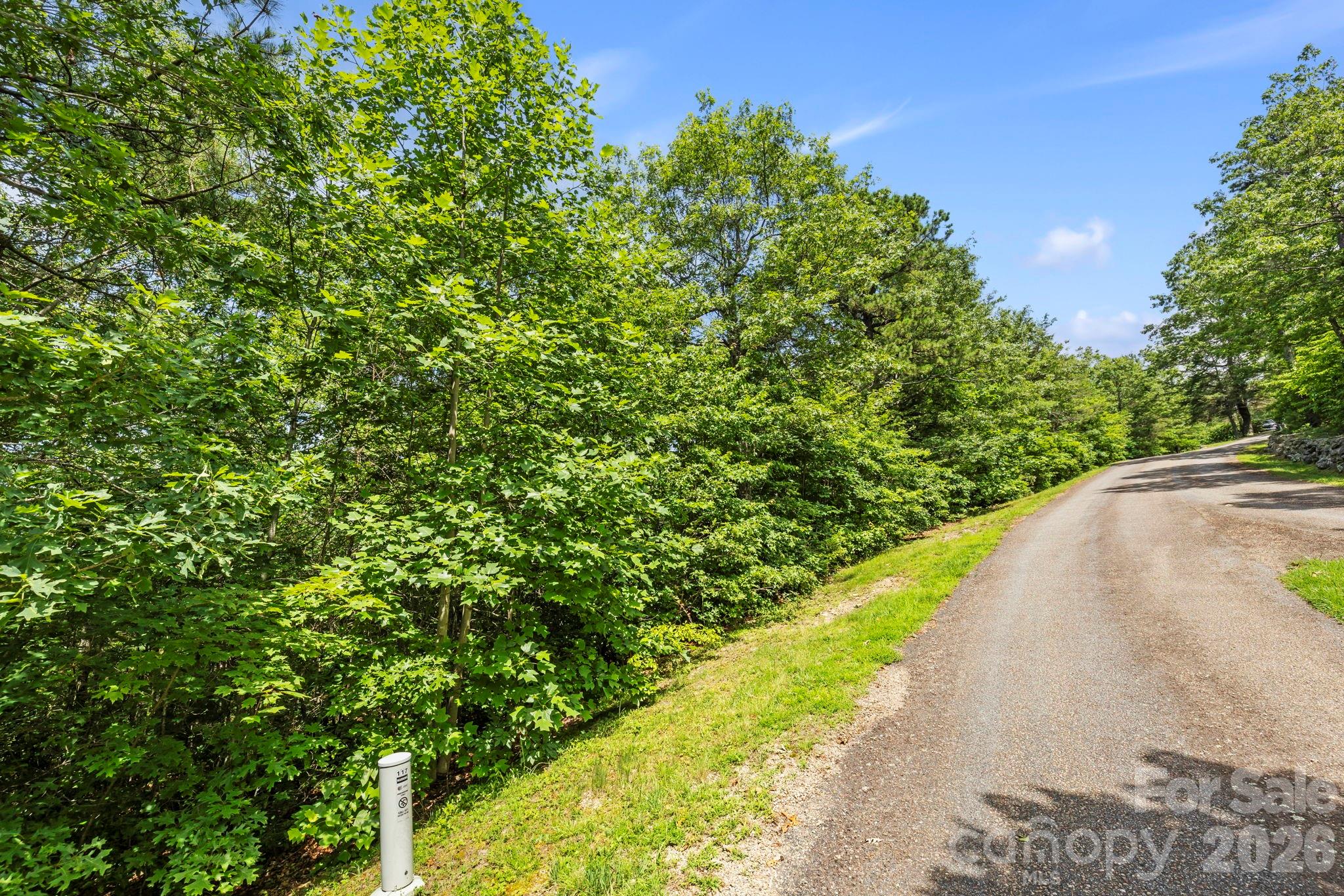 117 Sahalee Trail 2 Property Photo 18