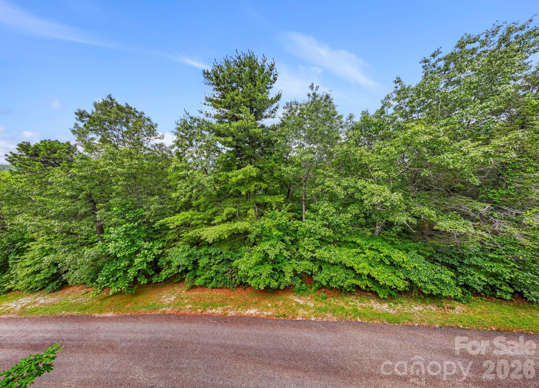 117 Sahalee Trail 2 Property Photo 19