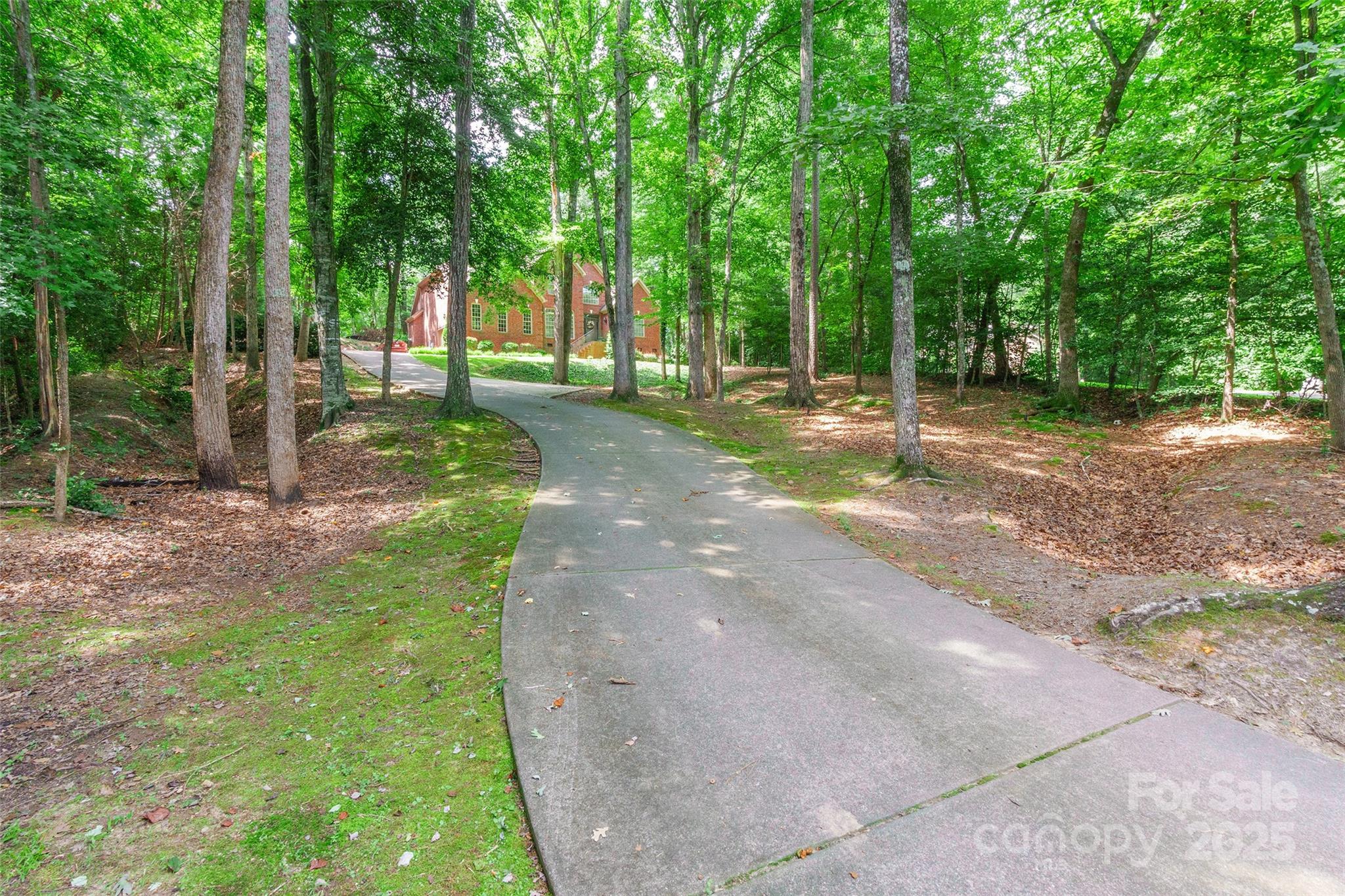 1227 Cabin Creek Court Property Photo 2