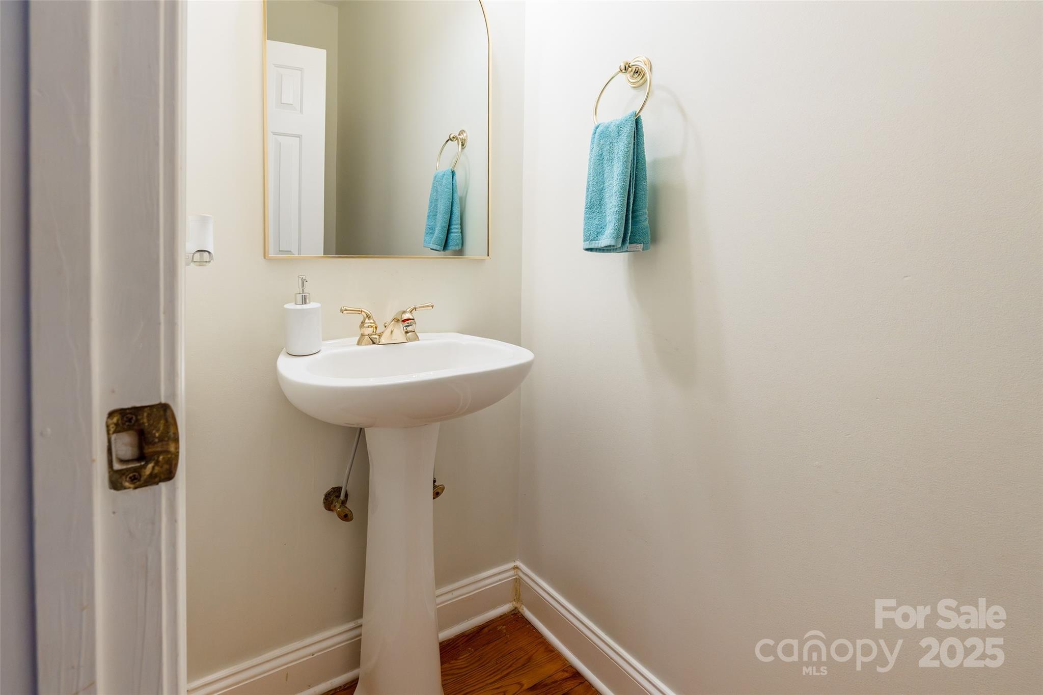 1227 Cabin Creek Court Property Photo 25