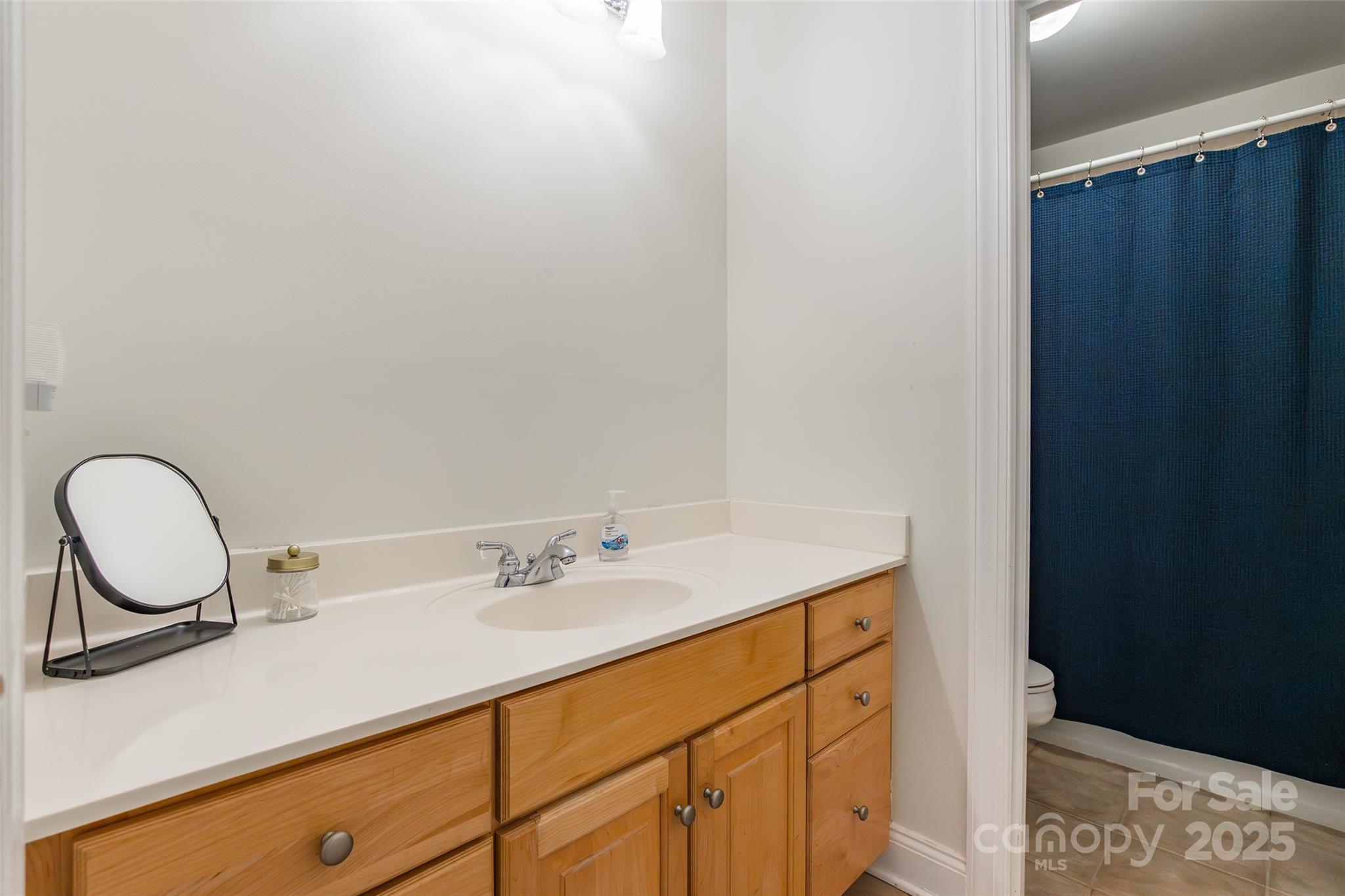 1227 Cabin Creek Court Property Photo 28