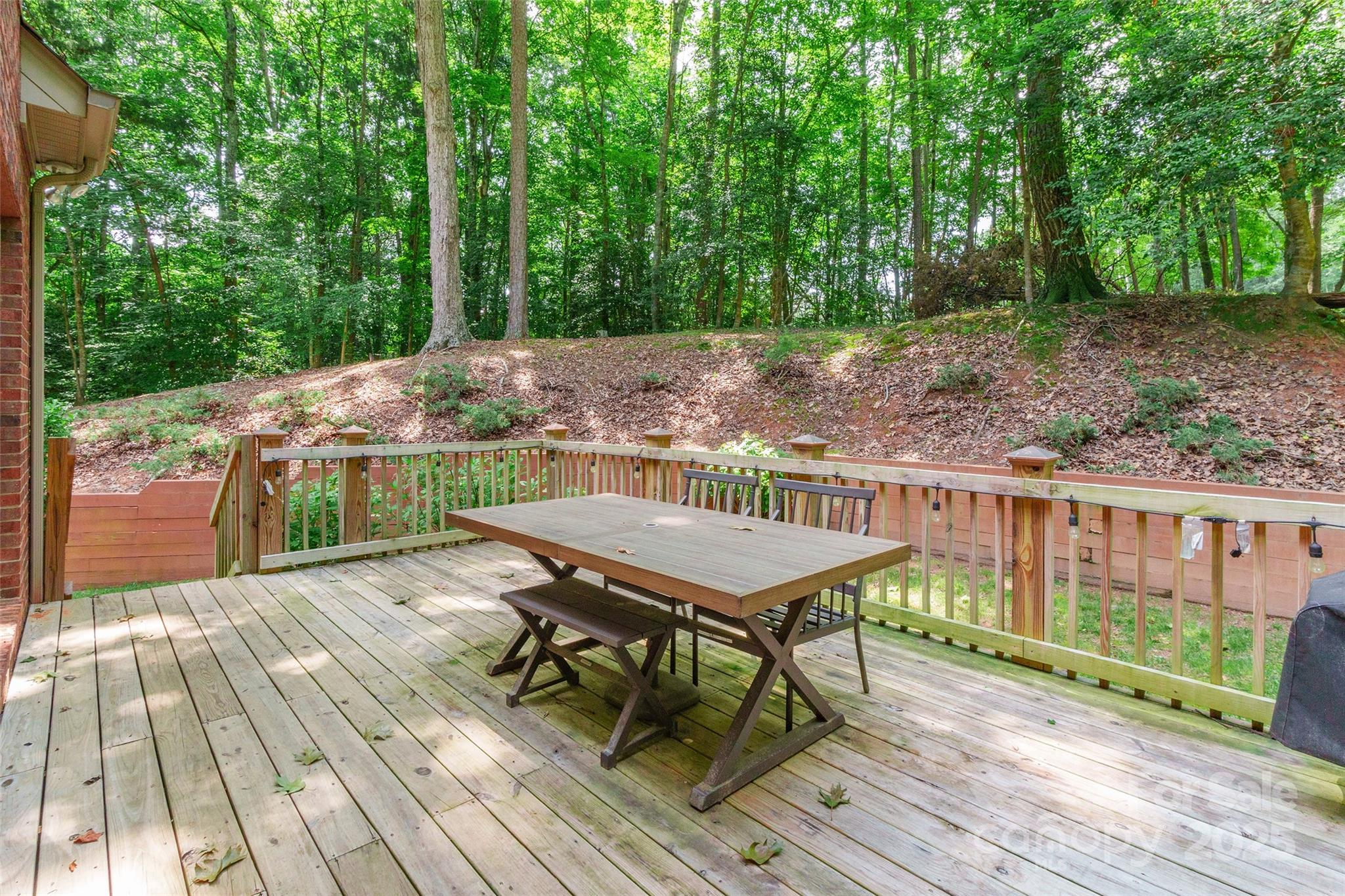 1227 Cabin Creek Court Property Photo 37
