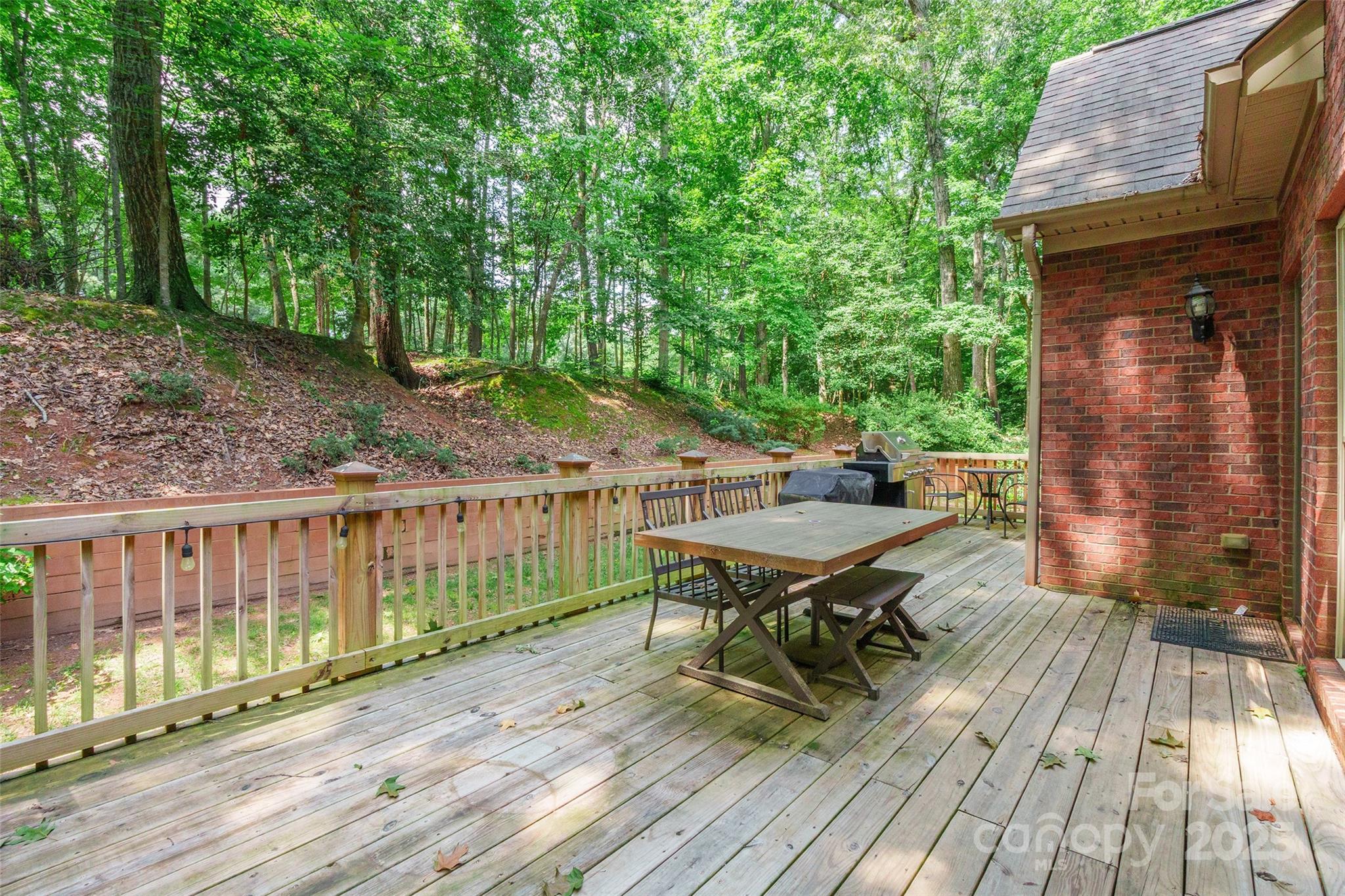 1227 Cabin Creek Court Property Photo 38