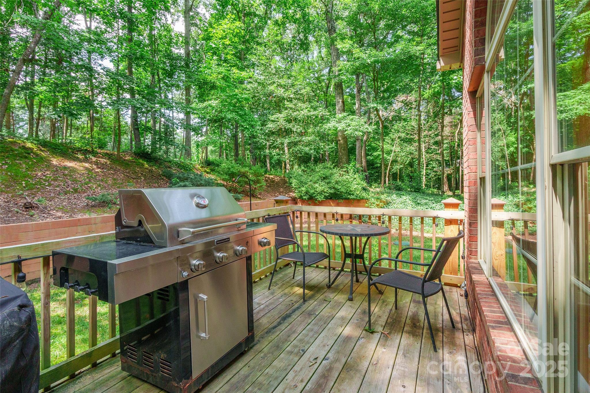 1227 Cabin Creek Court Property Photo 39