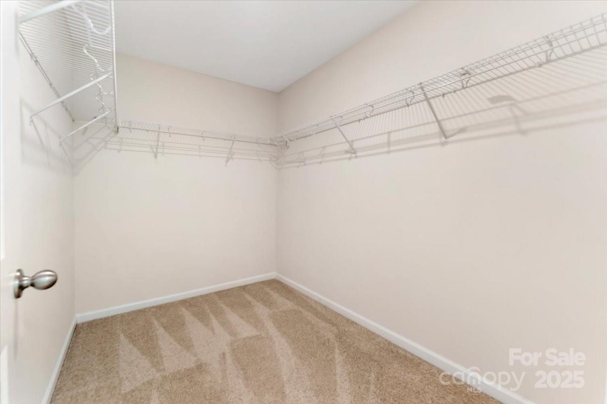 4237 Plumeria Way Property Photo 21